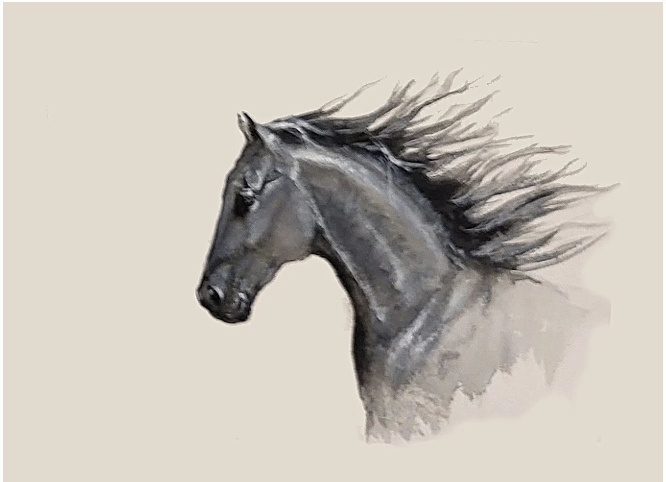 Nighshade, watercolor on paper, 11" X 14", framed & matted, $85.00