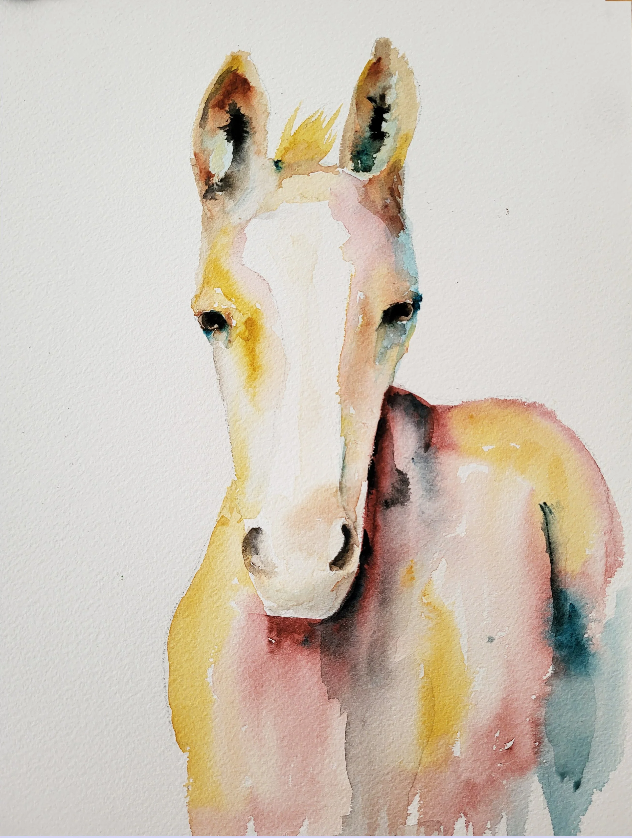 Colt with a 'tude, watercolor on paper, 11" X 14",  framed & matted, $250.00