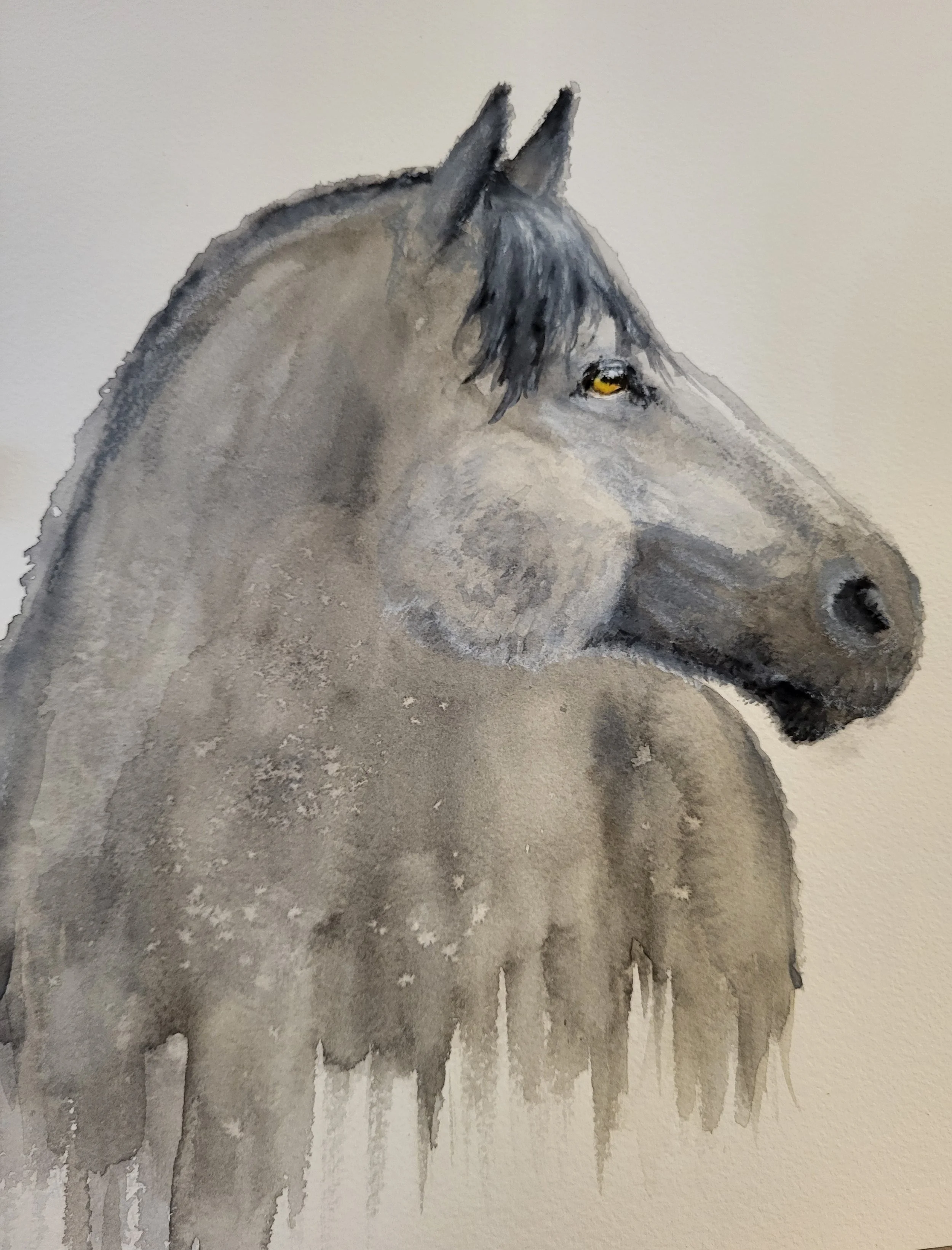 Big John, watercolor on paper, 11" X 14", framed & matted, $85.00