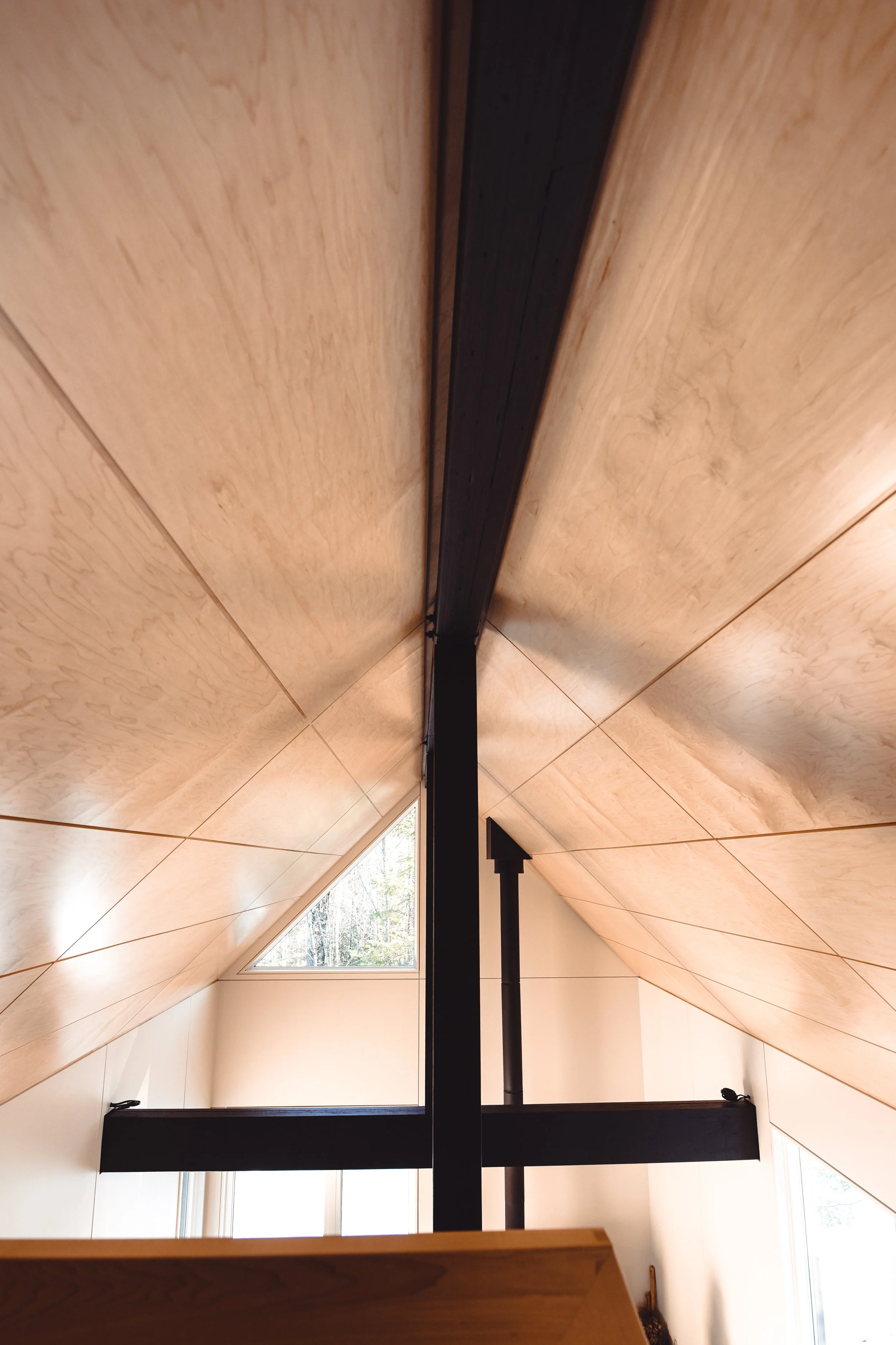 Ausland Cabin with high triangle framed light wood ceilings with black metal framing