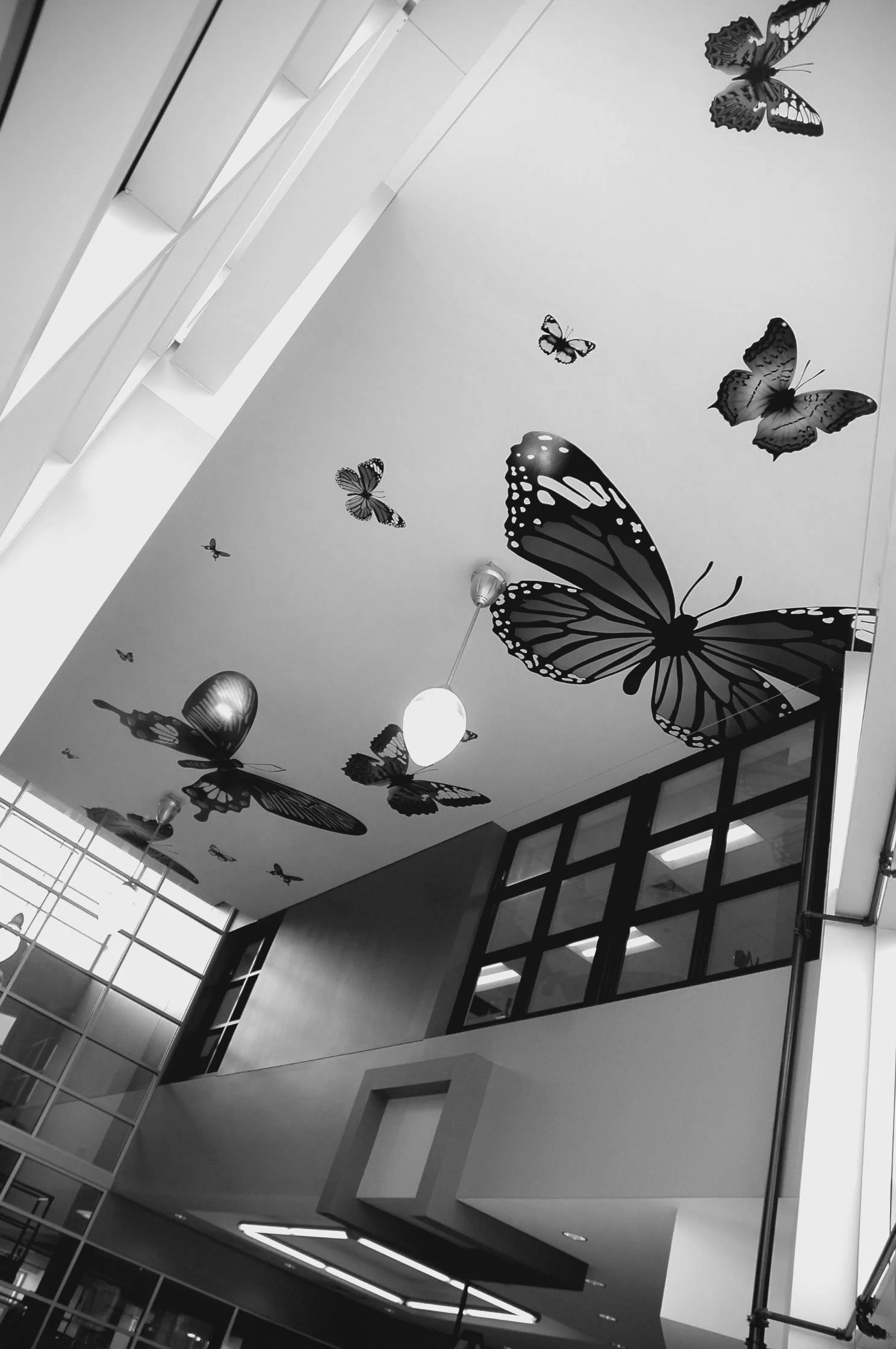 Black and white painted butterflies on the ceiling. Black framed windows on the upper portion of the wall. Pendant light hanging from the ceiling. Natural light creates a pattern on the back wall