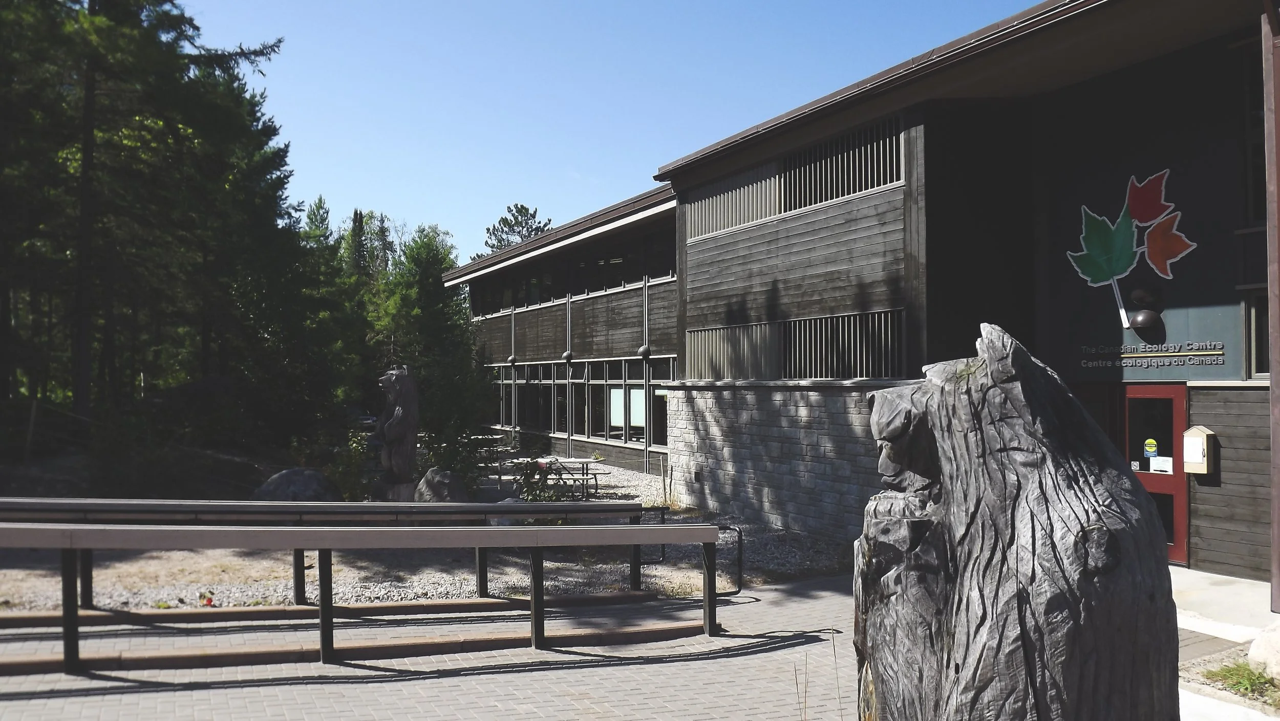 Black wood panels line the outside top half of the building with some vertical panels to create pattern and grey stone lining the bottom. Grey brick walkway with bike racks and tall pine trees surrounding the outside of the building