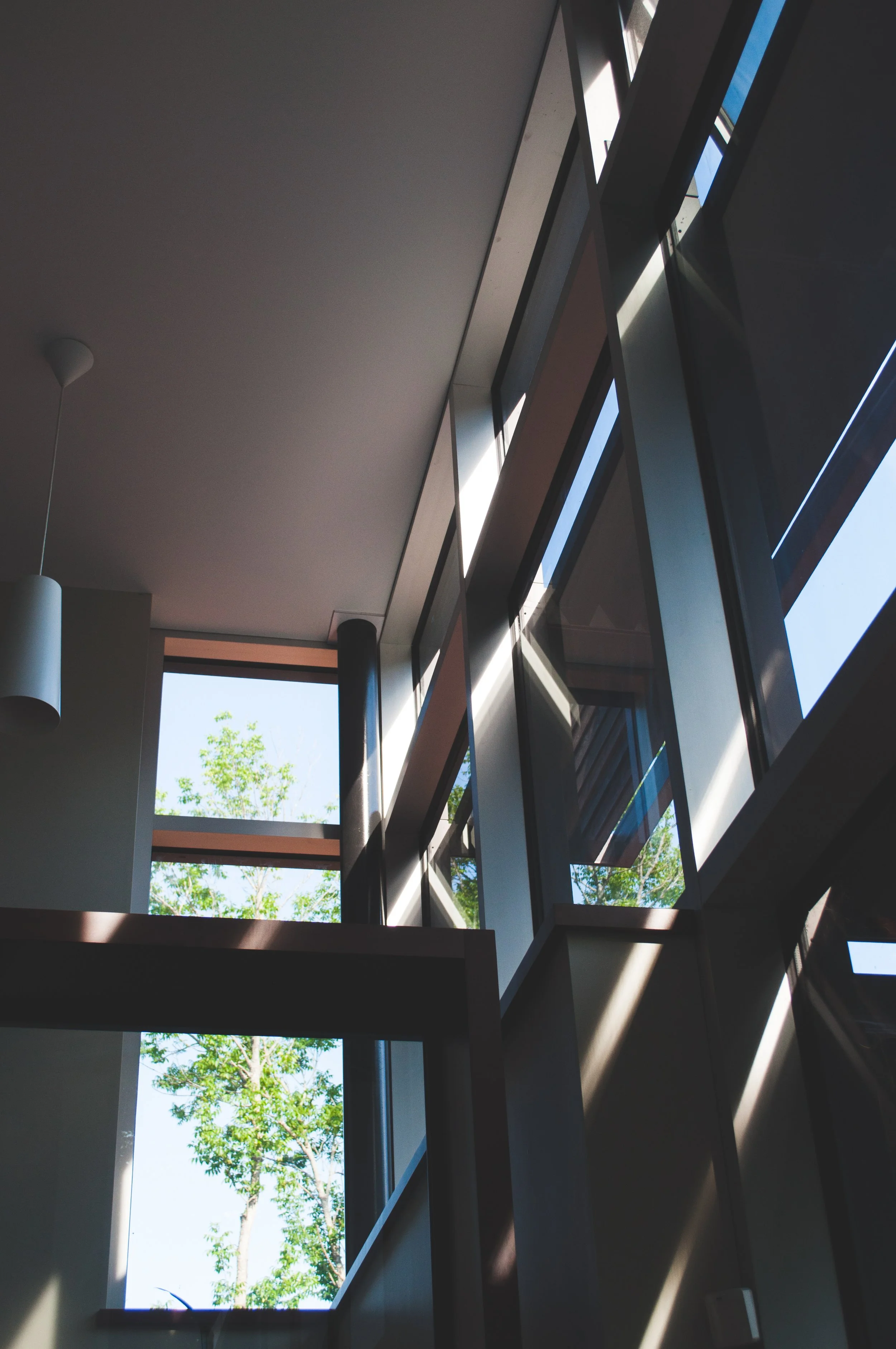 Ceiling view of indoor Trout Lake Residence, black framed windows, tall ceilings