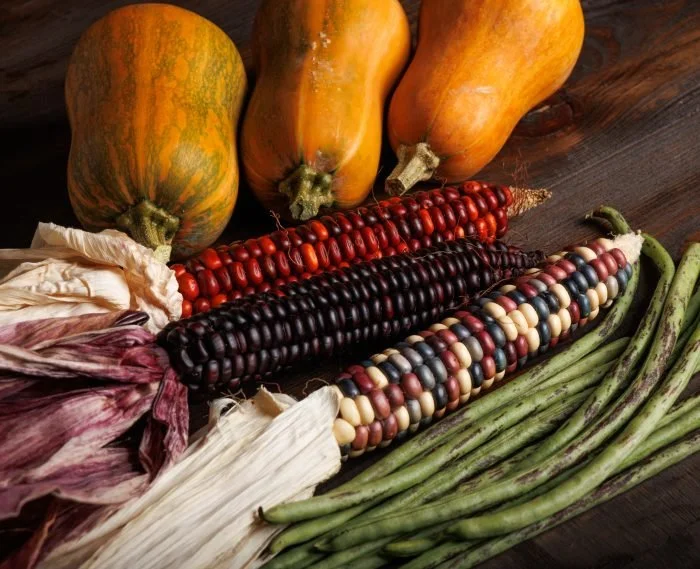 Bean, corn, squash.jpg