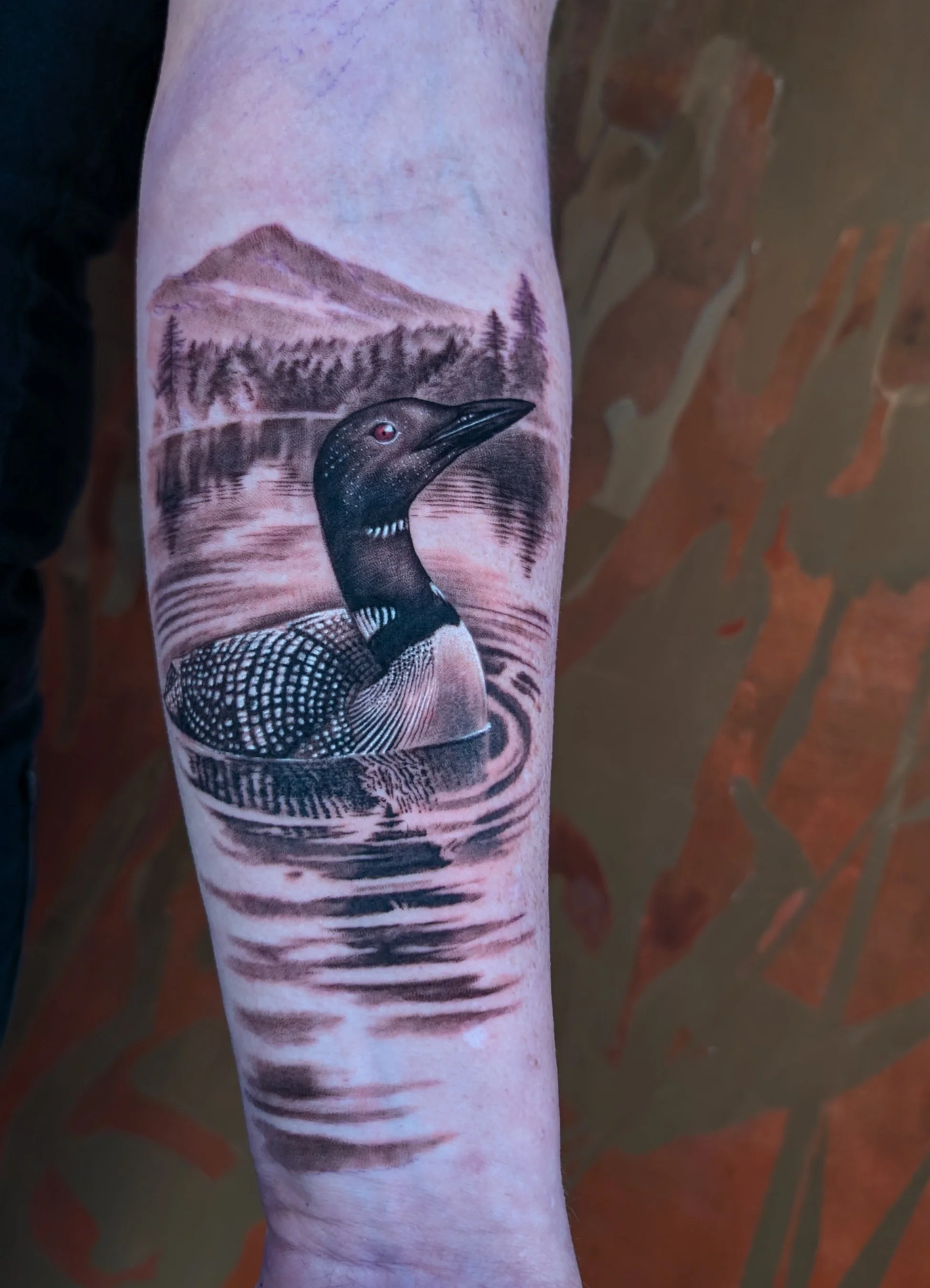 Loon in a lake landscape with reflecting rippling water