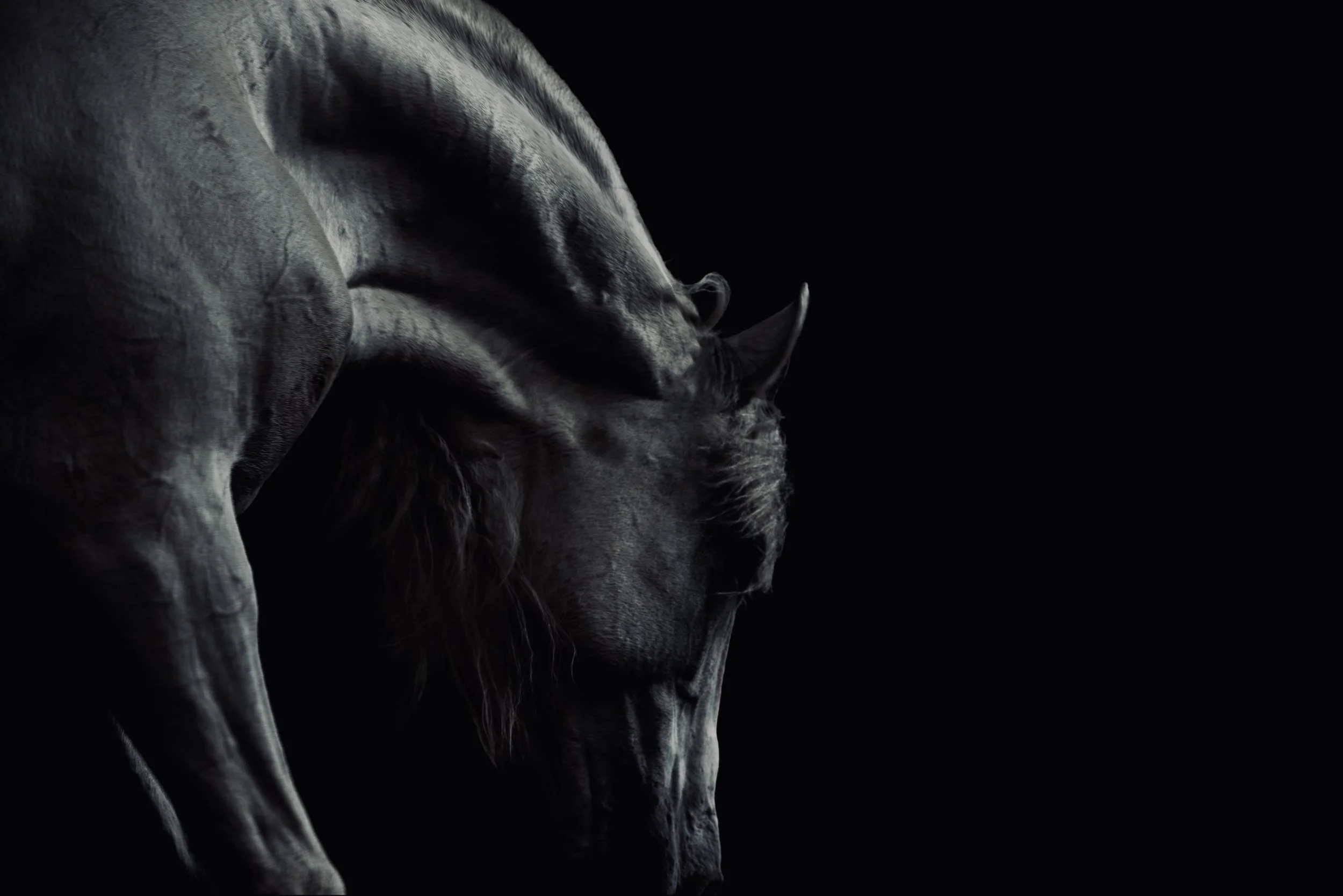 AC4A0208-Enhanced-NR copy.jpg