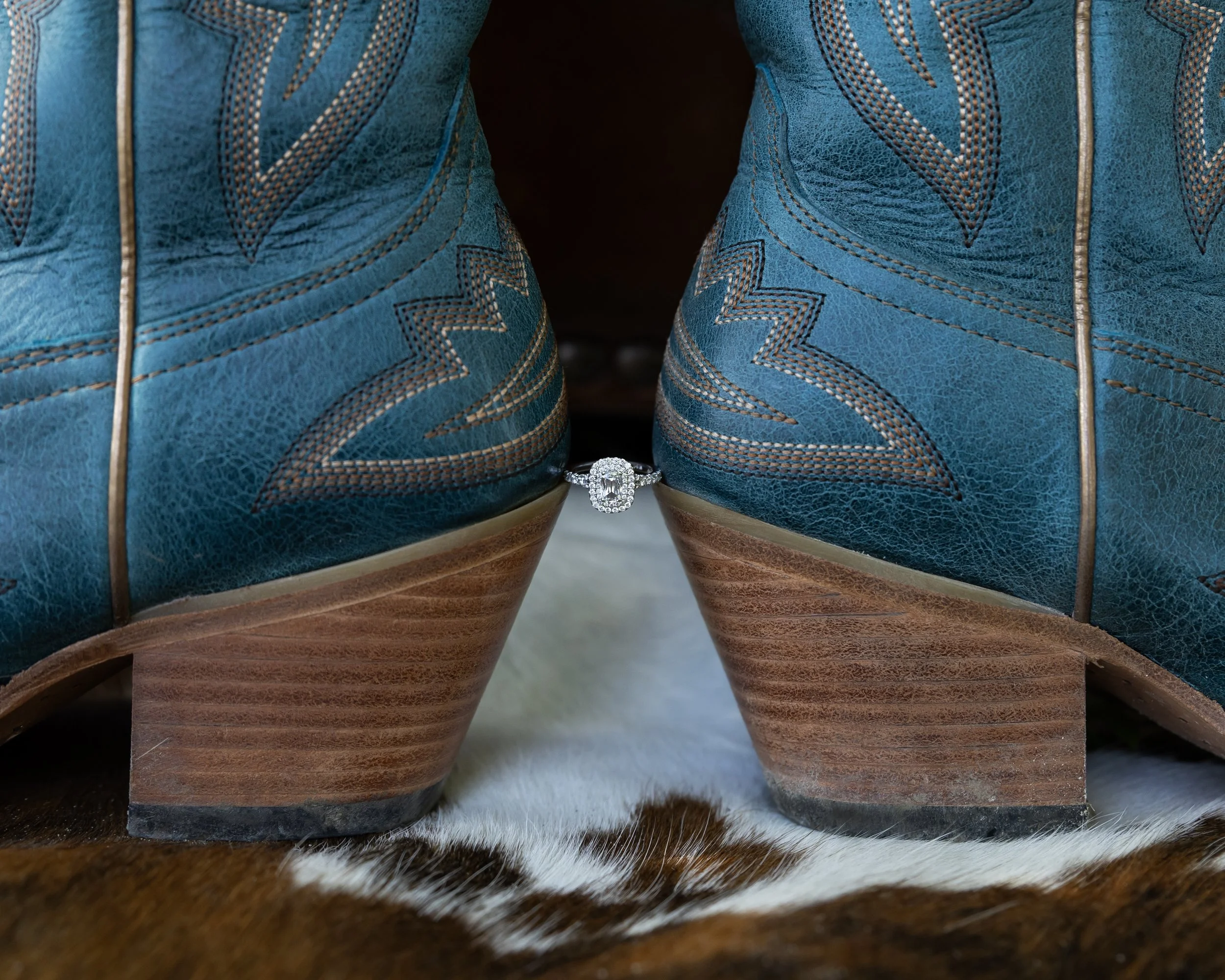 _LP_0798 copy.jpg