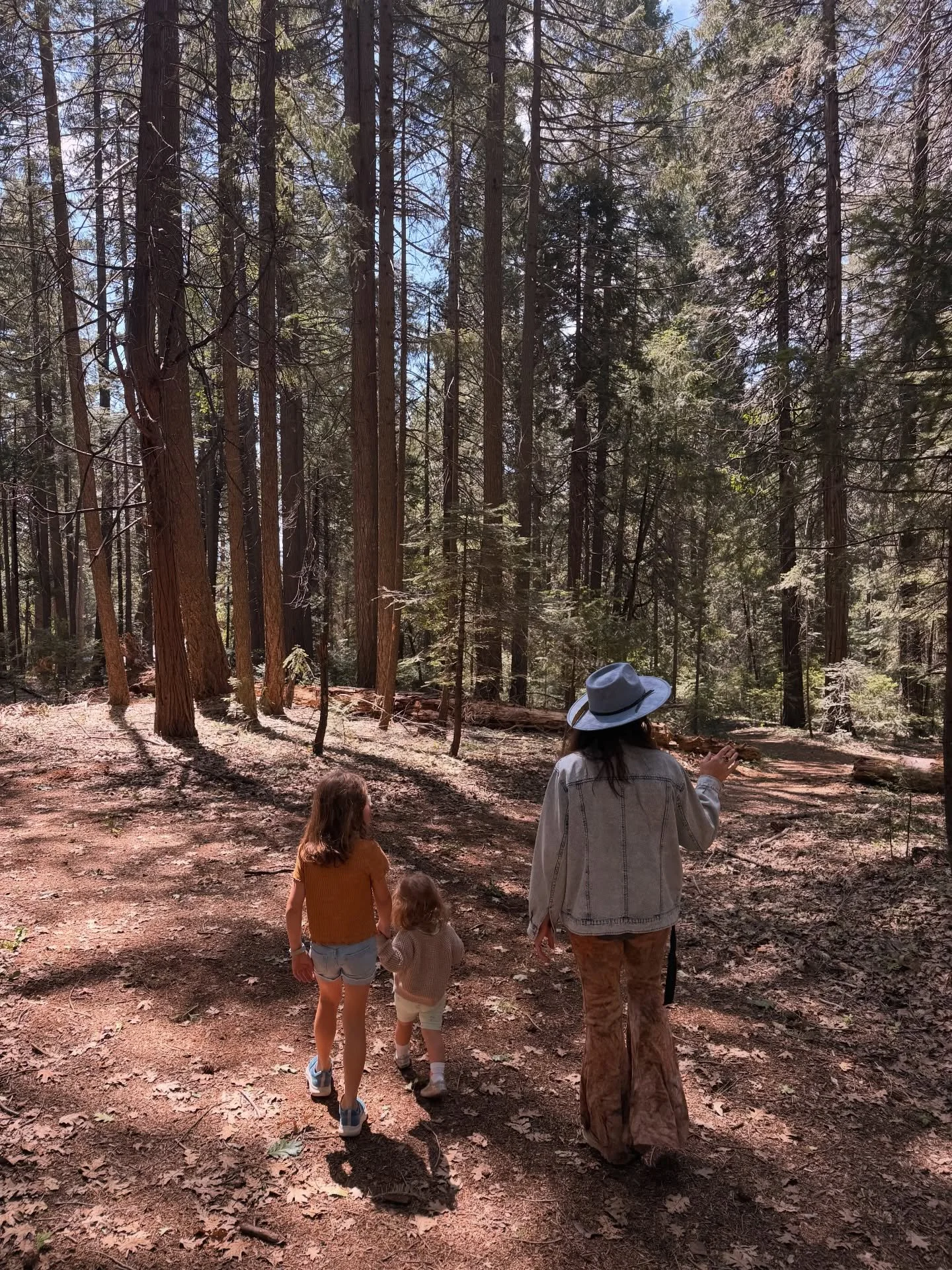 life lately 💭✨ nevada city magic with my chosen family🤍. swipe to see my little lady&rsquo;s dance moves at our first festy party @bicycledaync !! 🌈

+ a little life update &mdash; we have left Colombia + are back in NorCal to take care of my moth