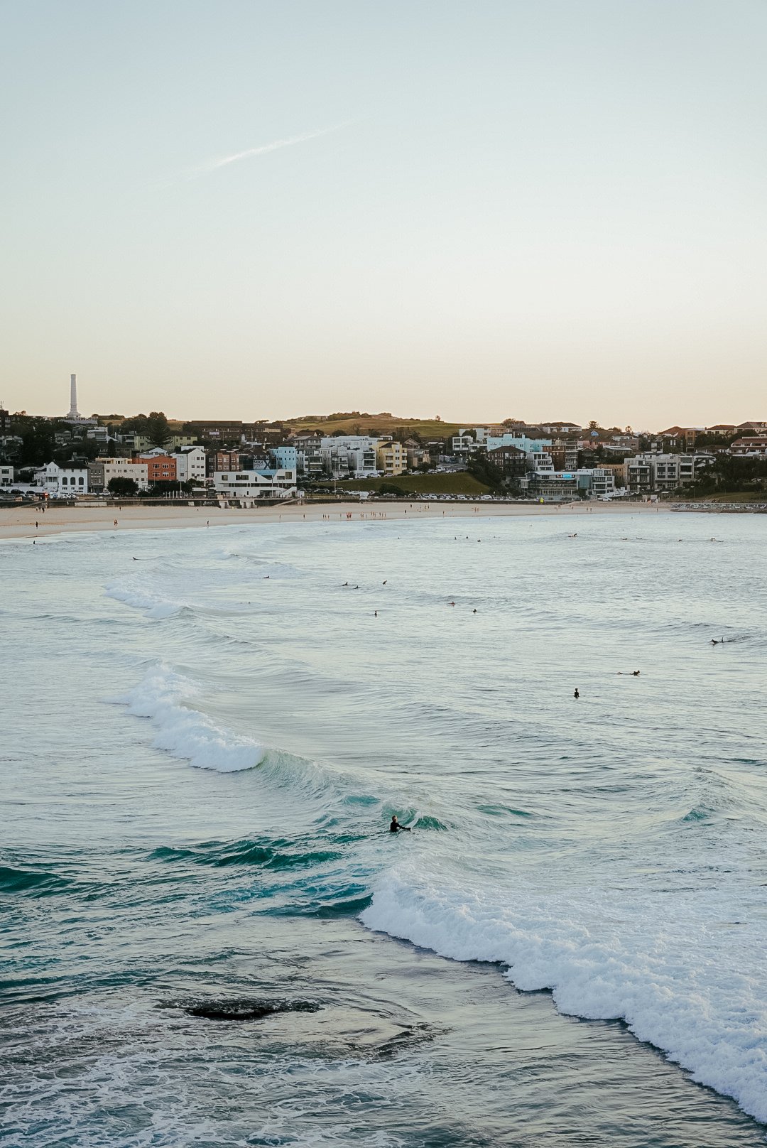 BONDI PRINT