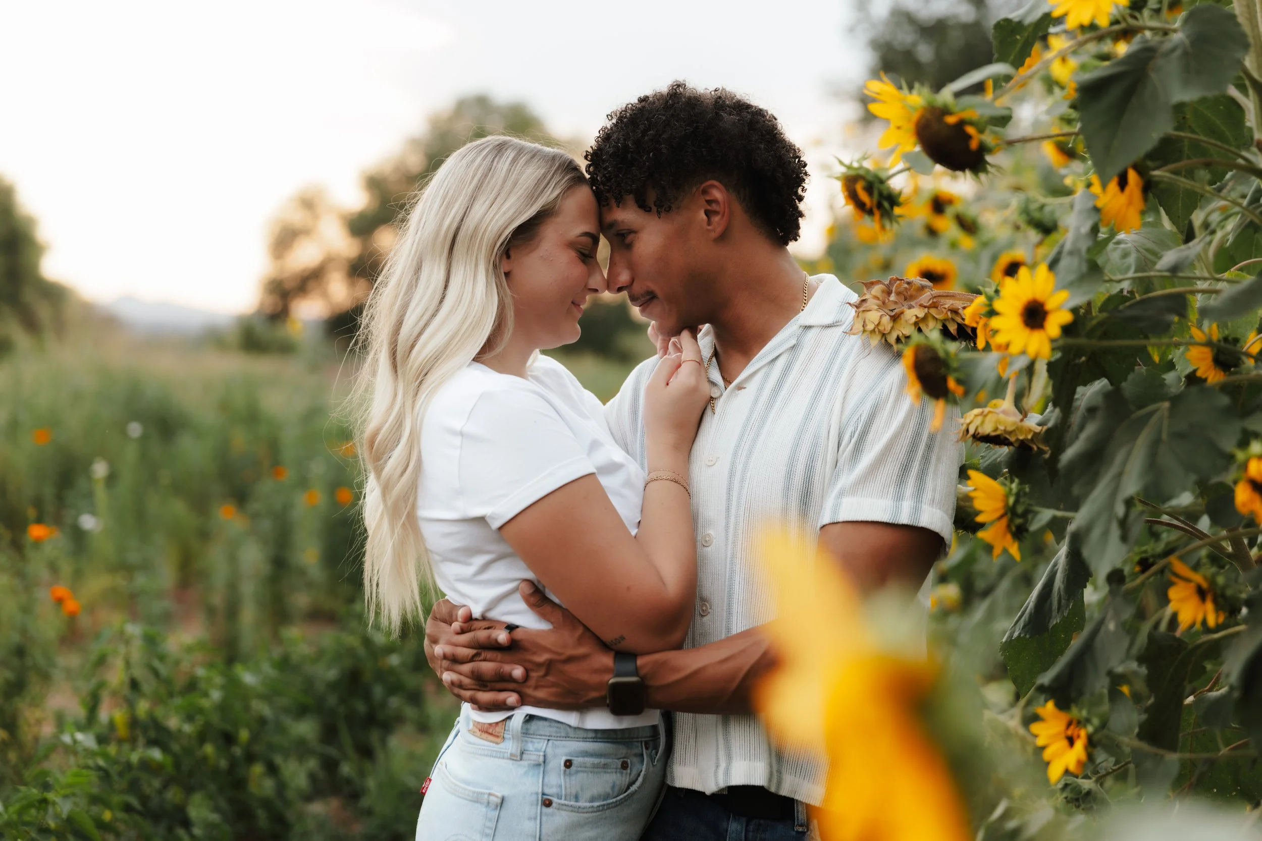 A couple hugging in a sunflower field during sunset, with trees in the background. In Albuquerque, New Mexico.