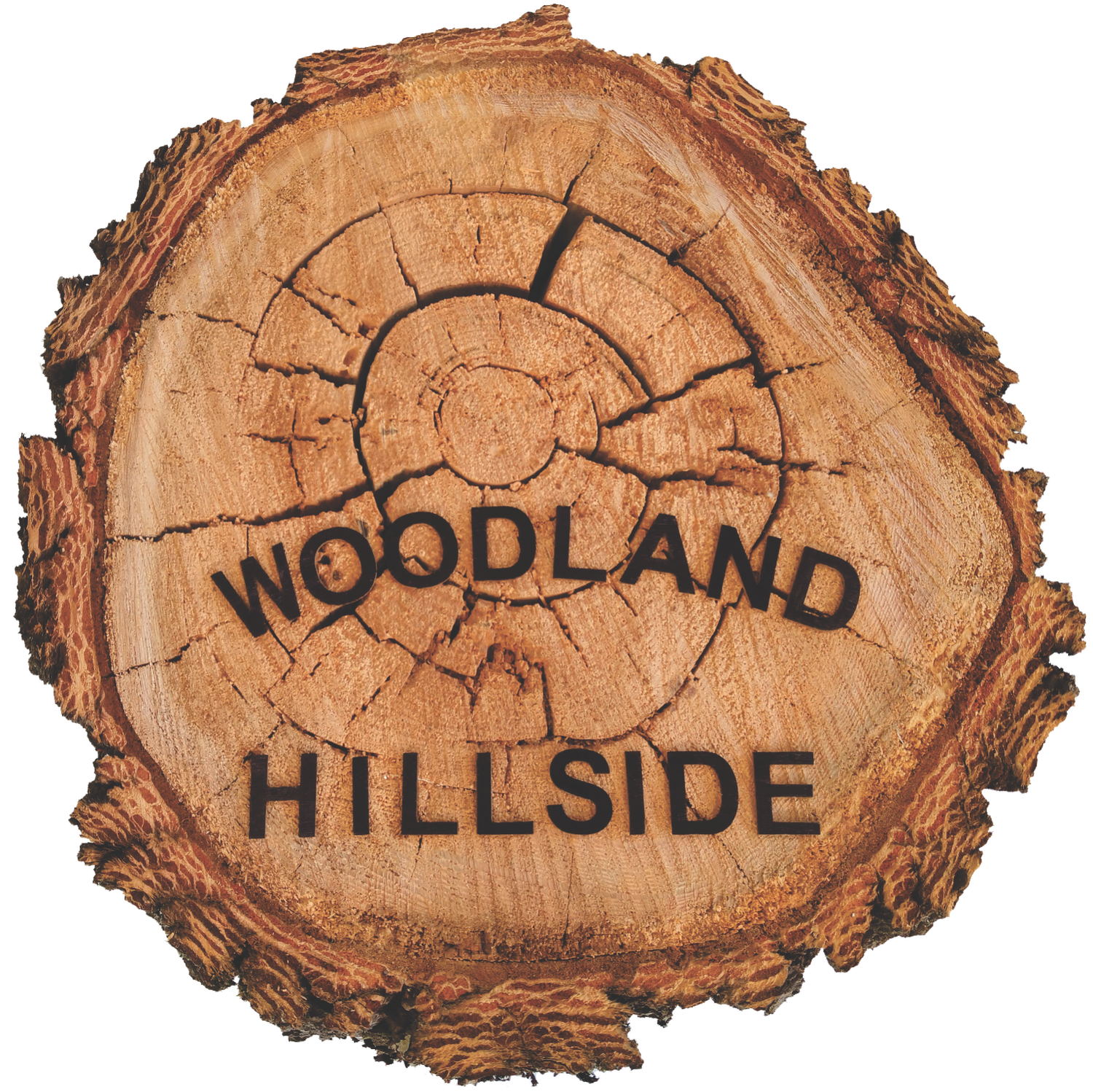 Woodand Hillside