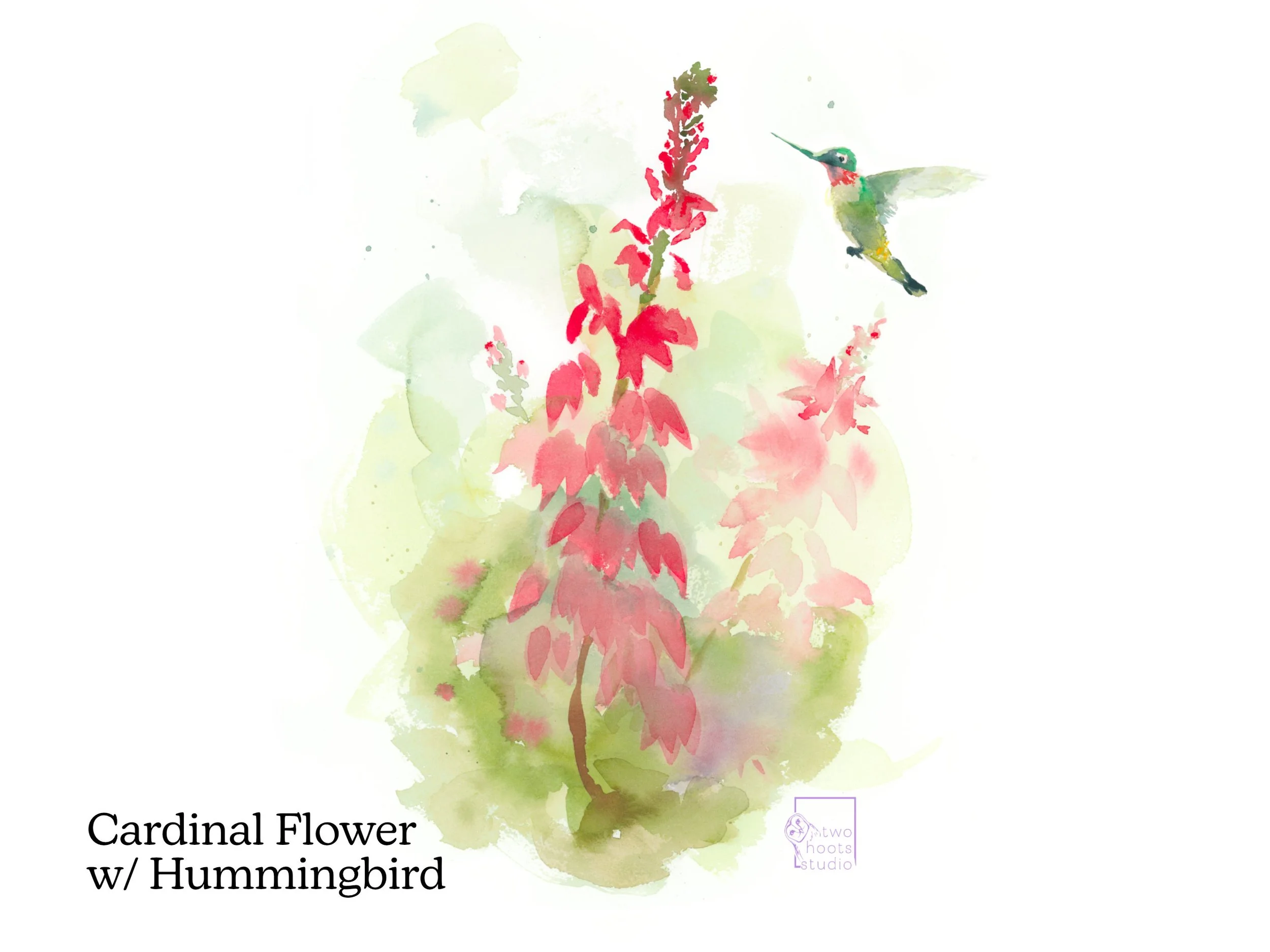 Cardinal Flowr with Hummingbird - Detail image - Squarespace Notecard Set.jpg