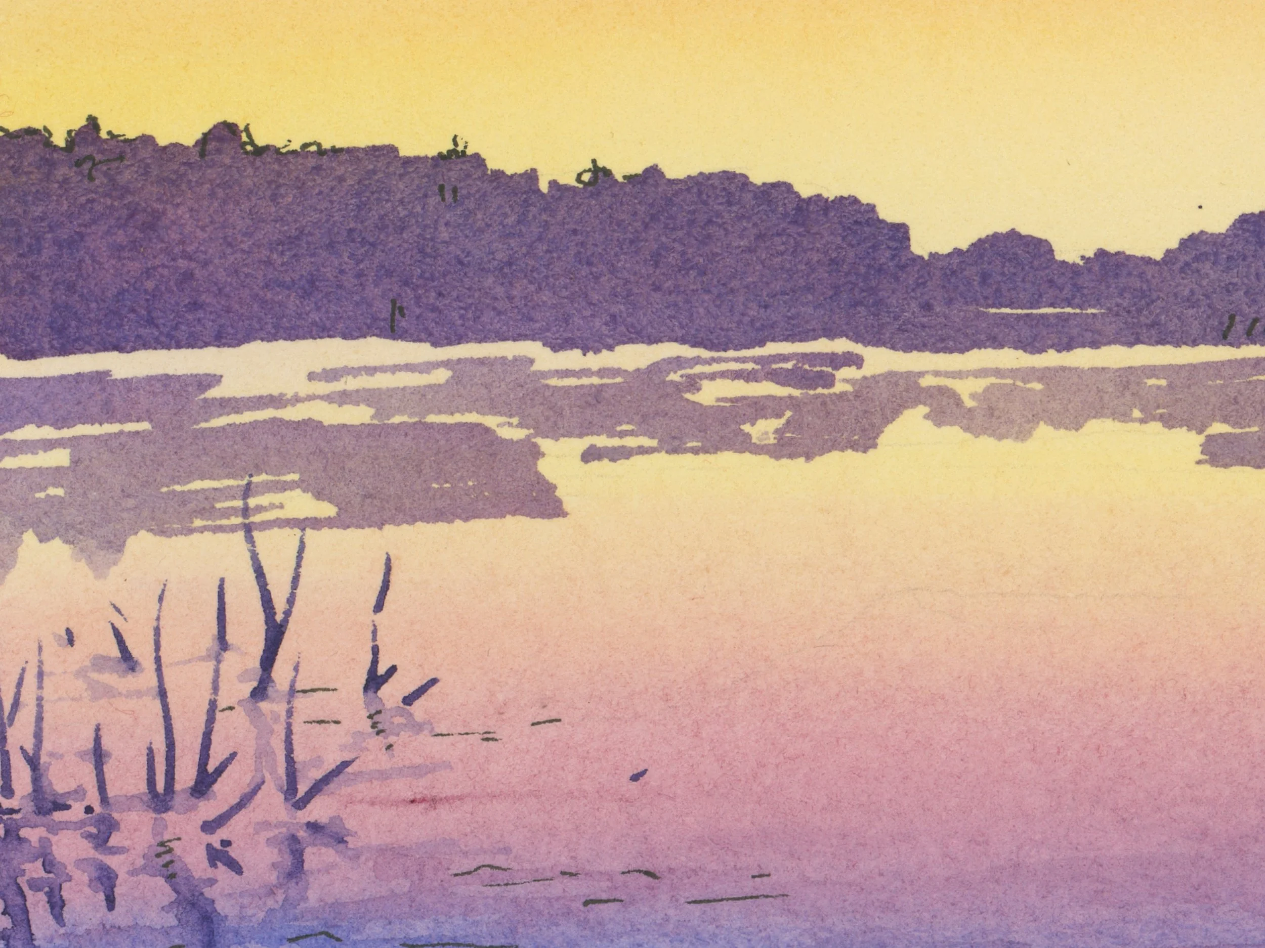 Lake of the Woods Sunset Close Up Detail Water.jpg