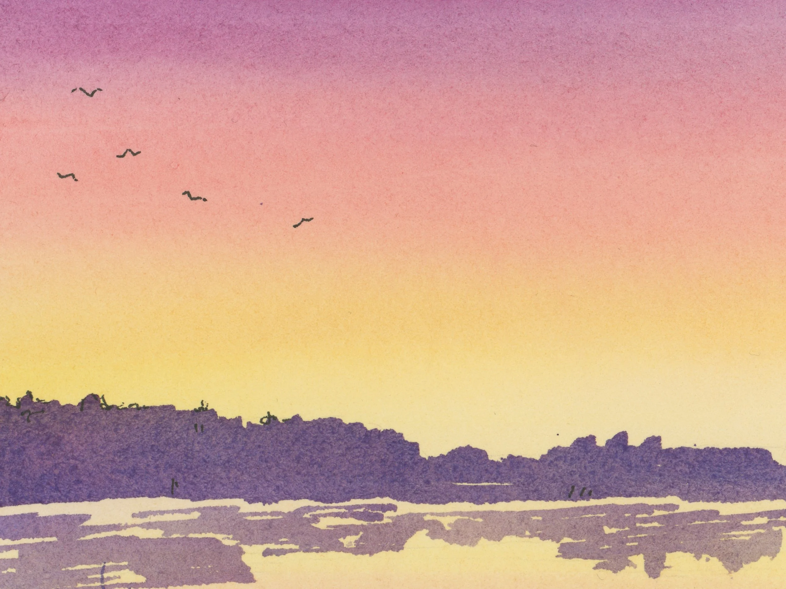 Lake of the Woods Sunset Close Up Detail Sky.jpg