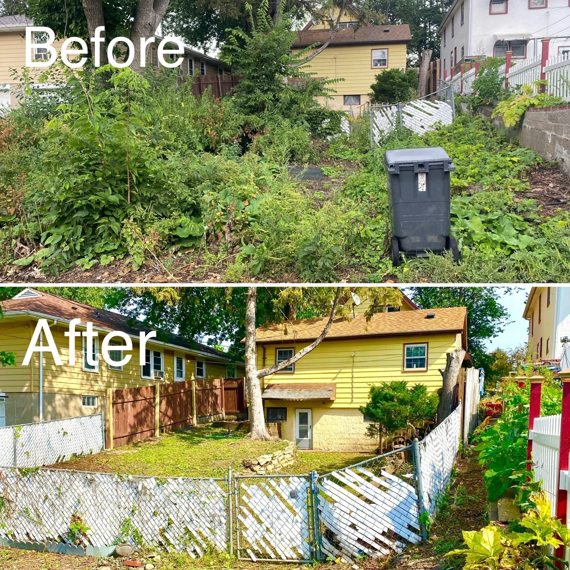 Handiwork - Brush Removal.JPG