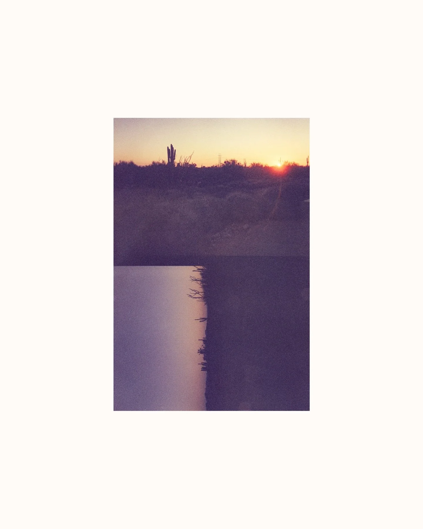 from the film archives!!! plants🌵edition

#bentonvillephotographer #nwaphotographer #arkansasphotographer #travelfilmphotography #travelfilm