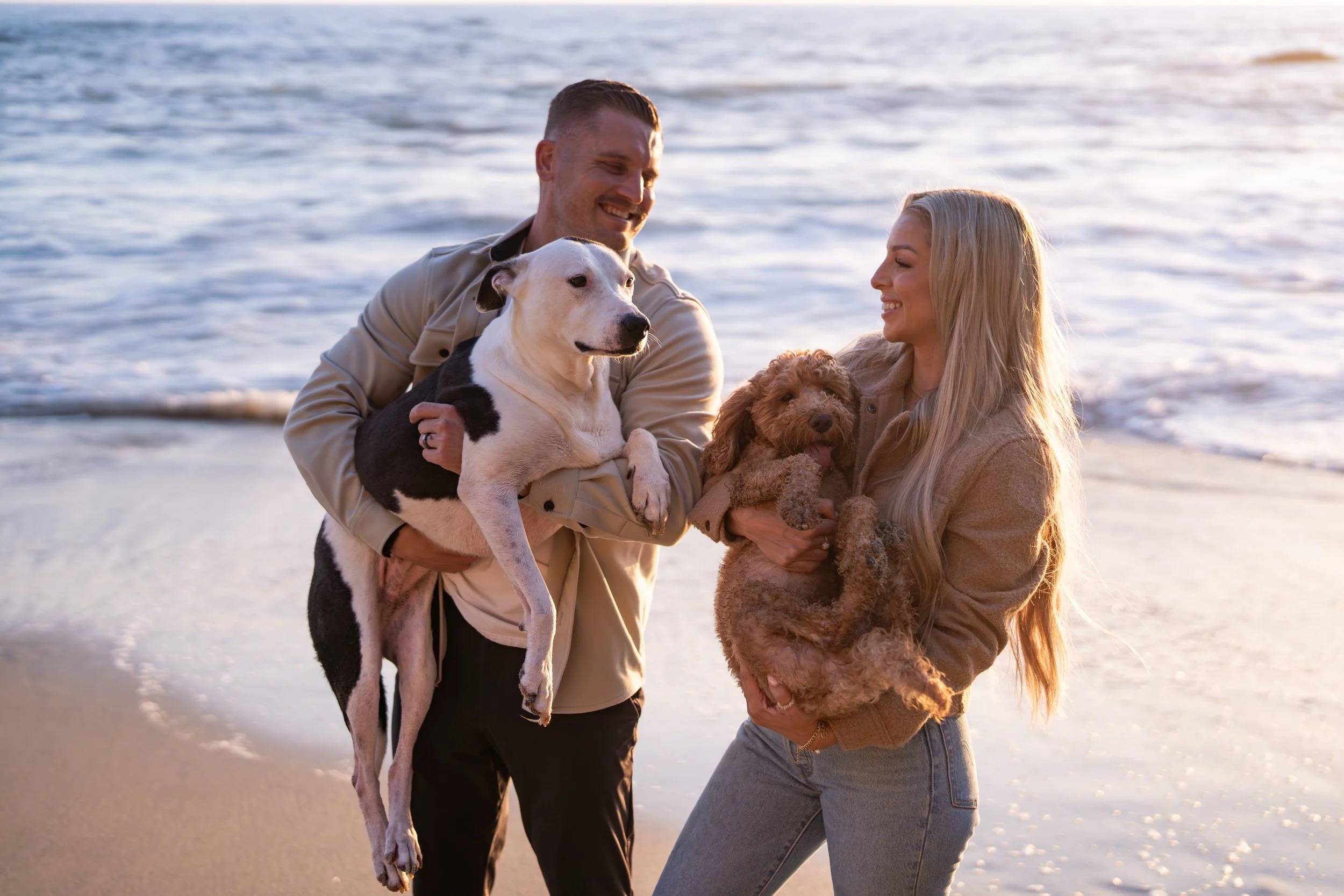 Family photoshoot with dogs