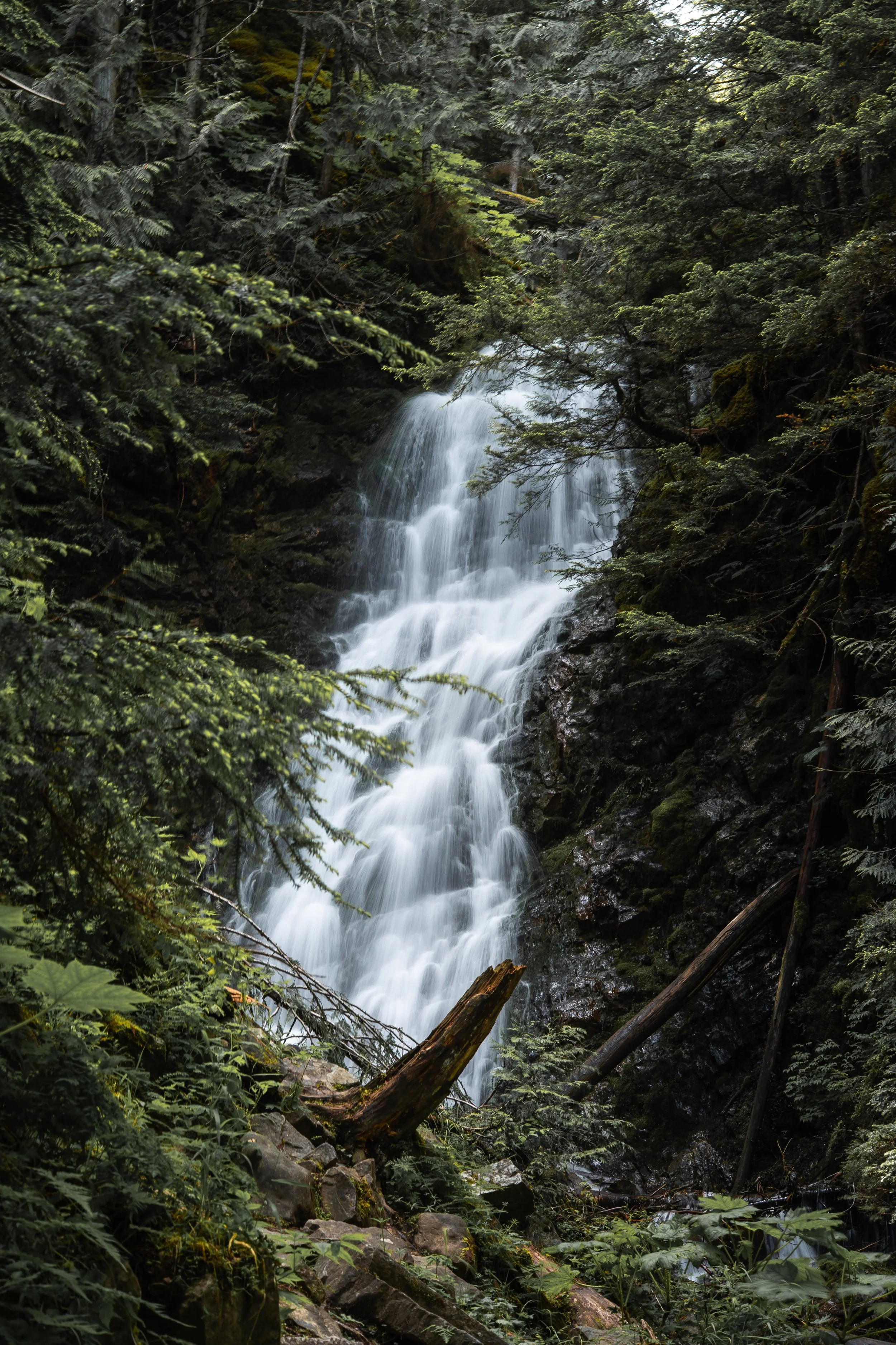 A waterfall cascading down a rocky cliff surrounded by lush green forest, with moss-covered rocks and fallen tree trunks in the foreground.