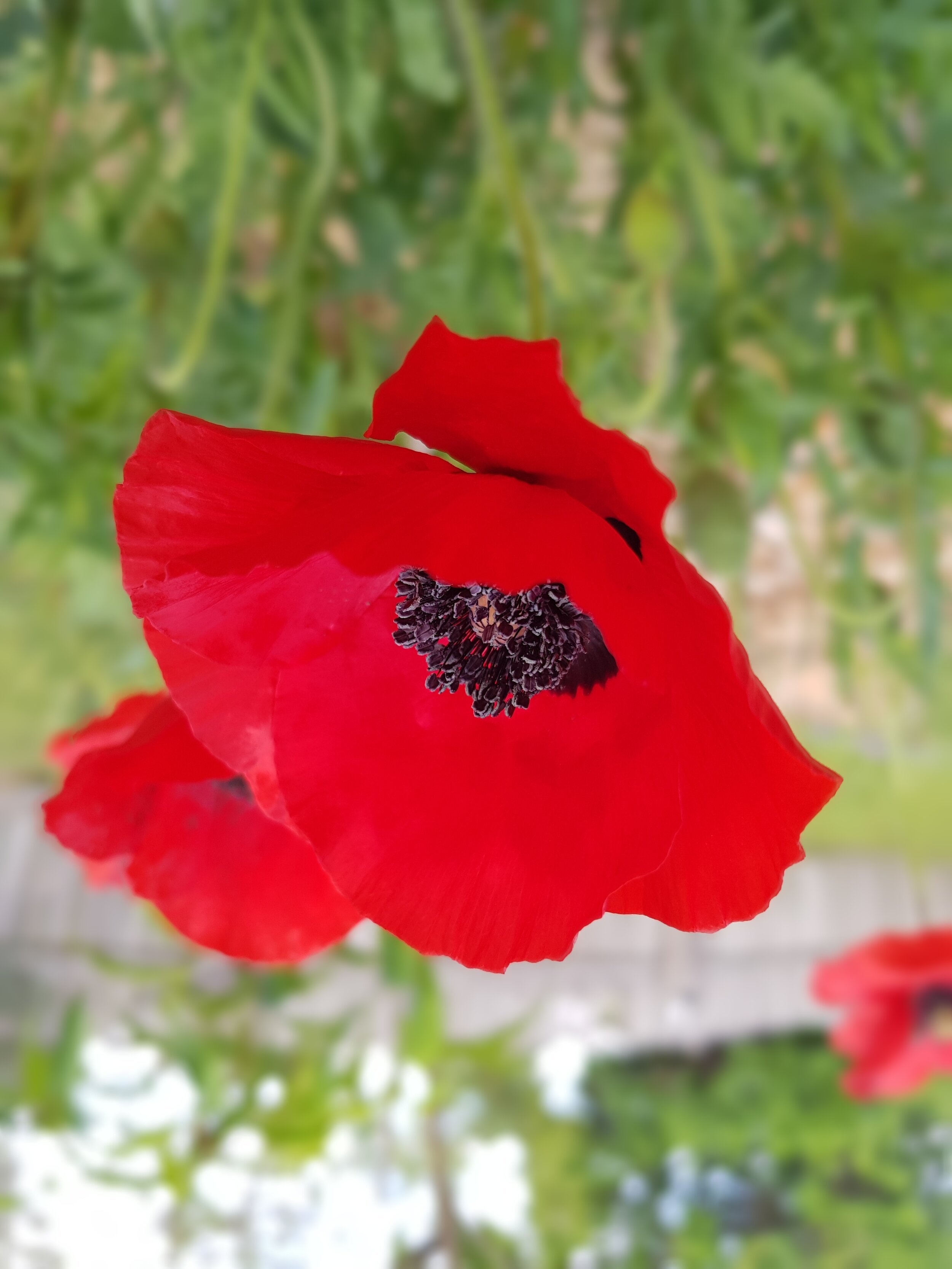 20171028_074331.jpg