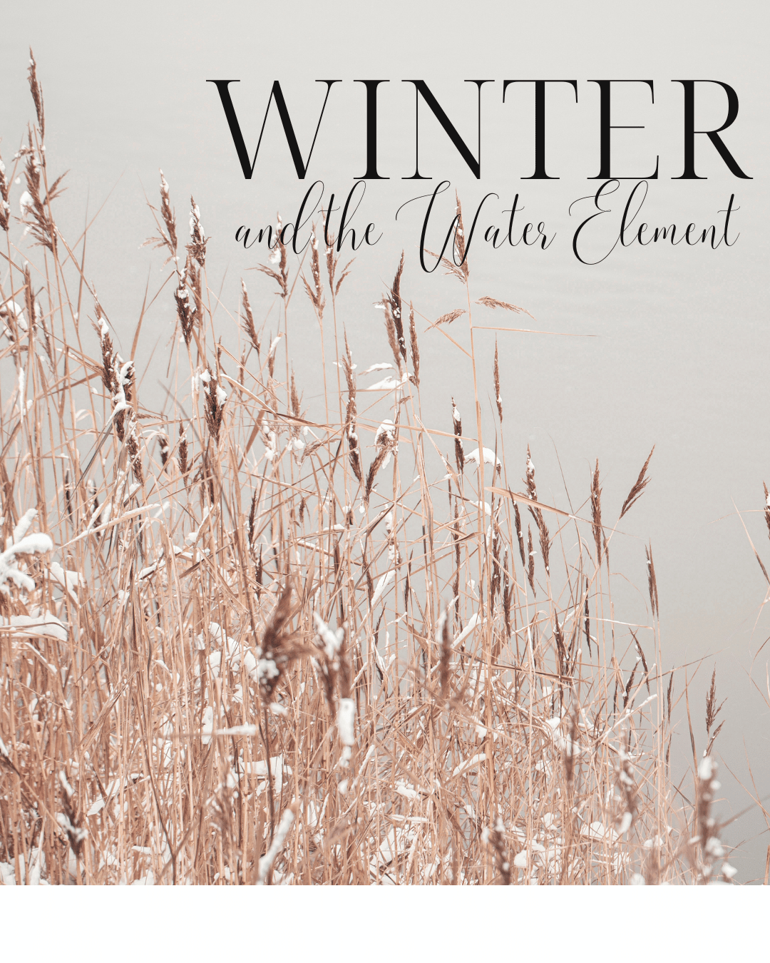 Winter Wellness in TCM: Honoring the Water Element
