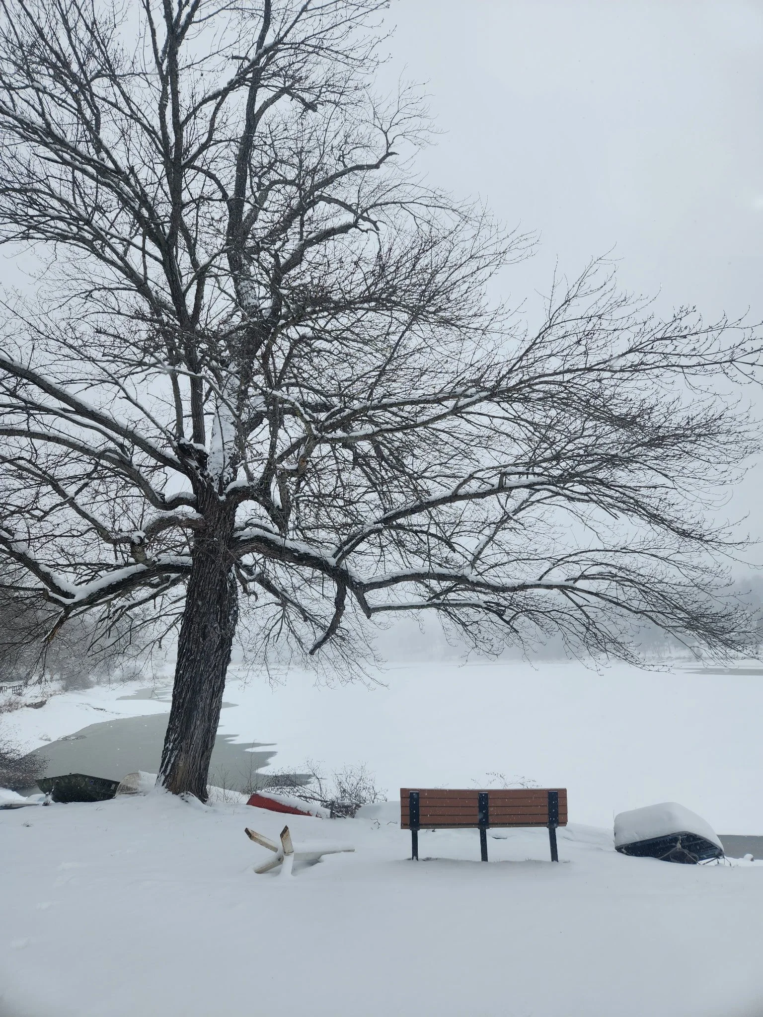 Winter Wisdom: Building Resilience the TCM Way