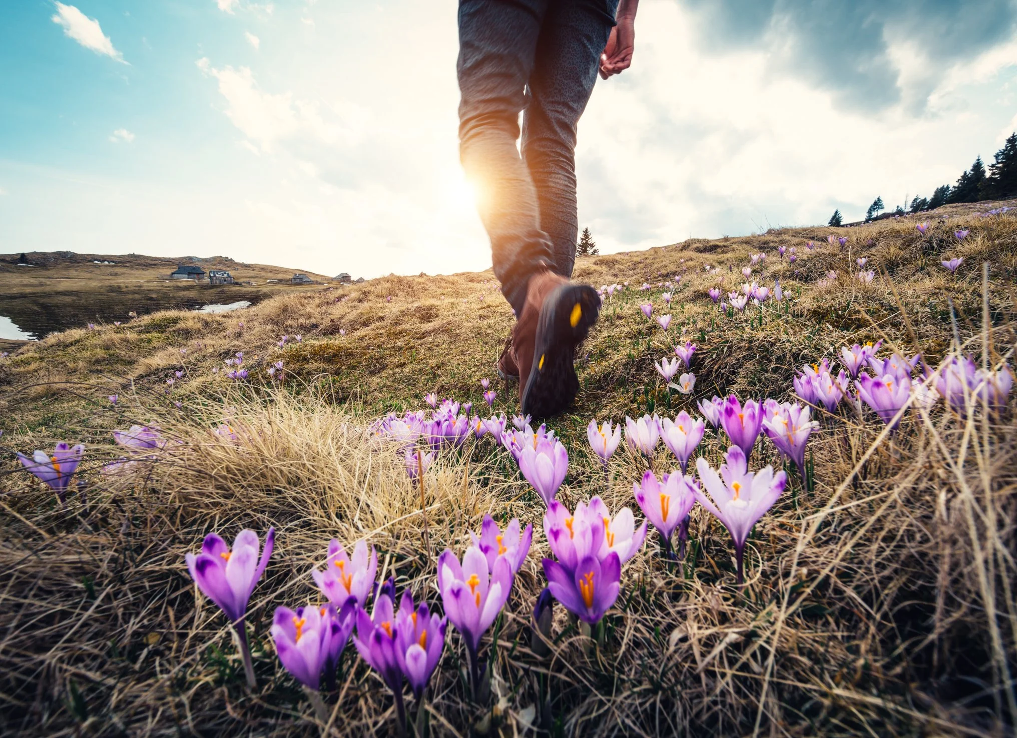 Spring Detox &amp; Natural Glutathione Production