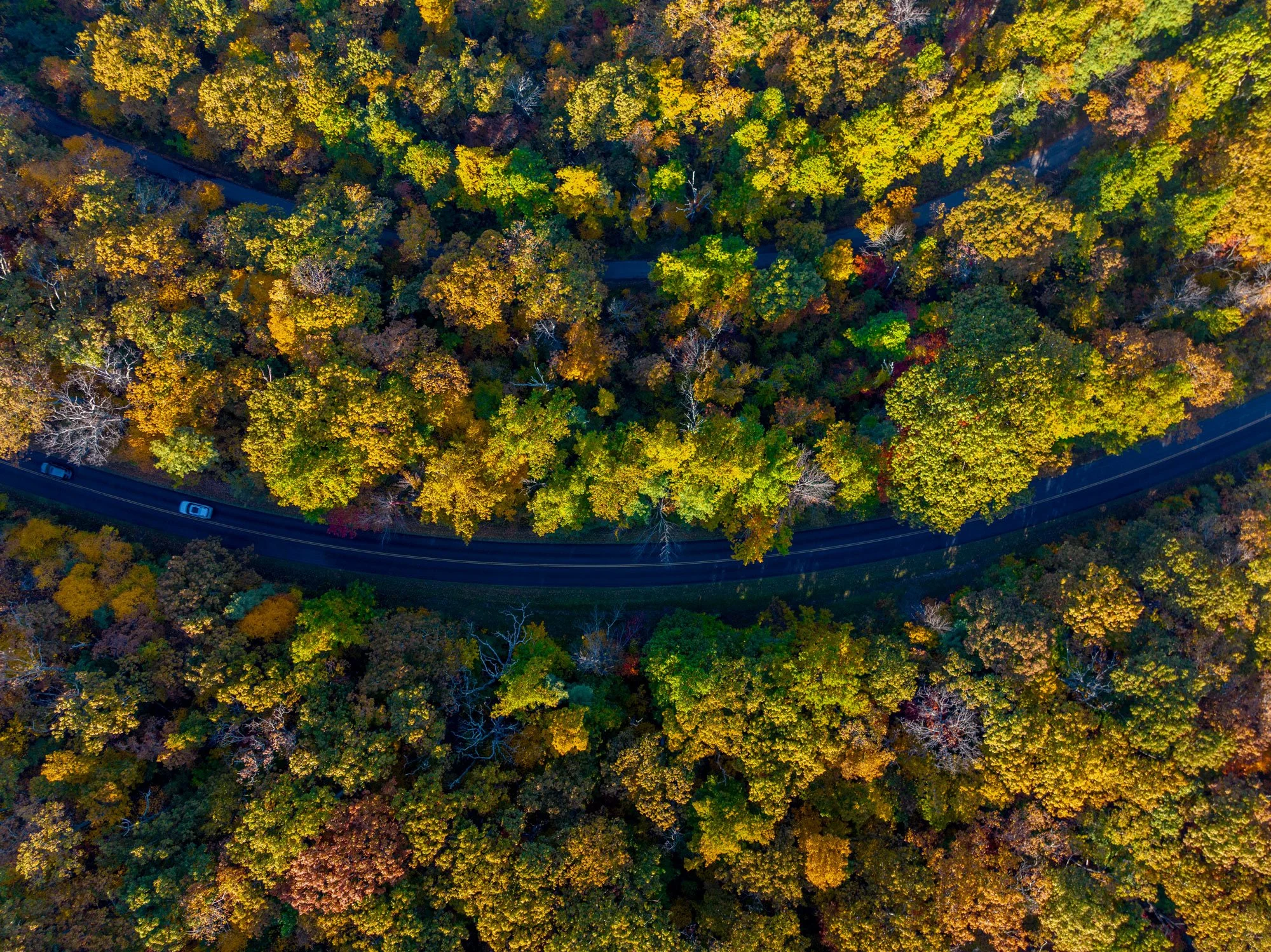 DJI_0519.jpg