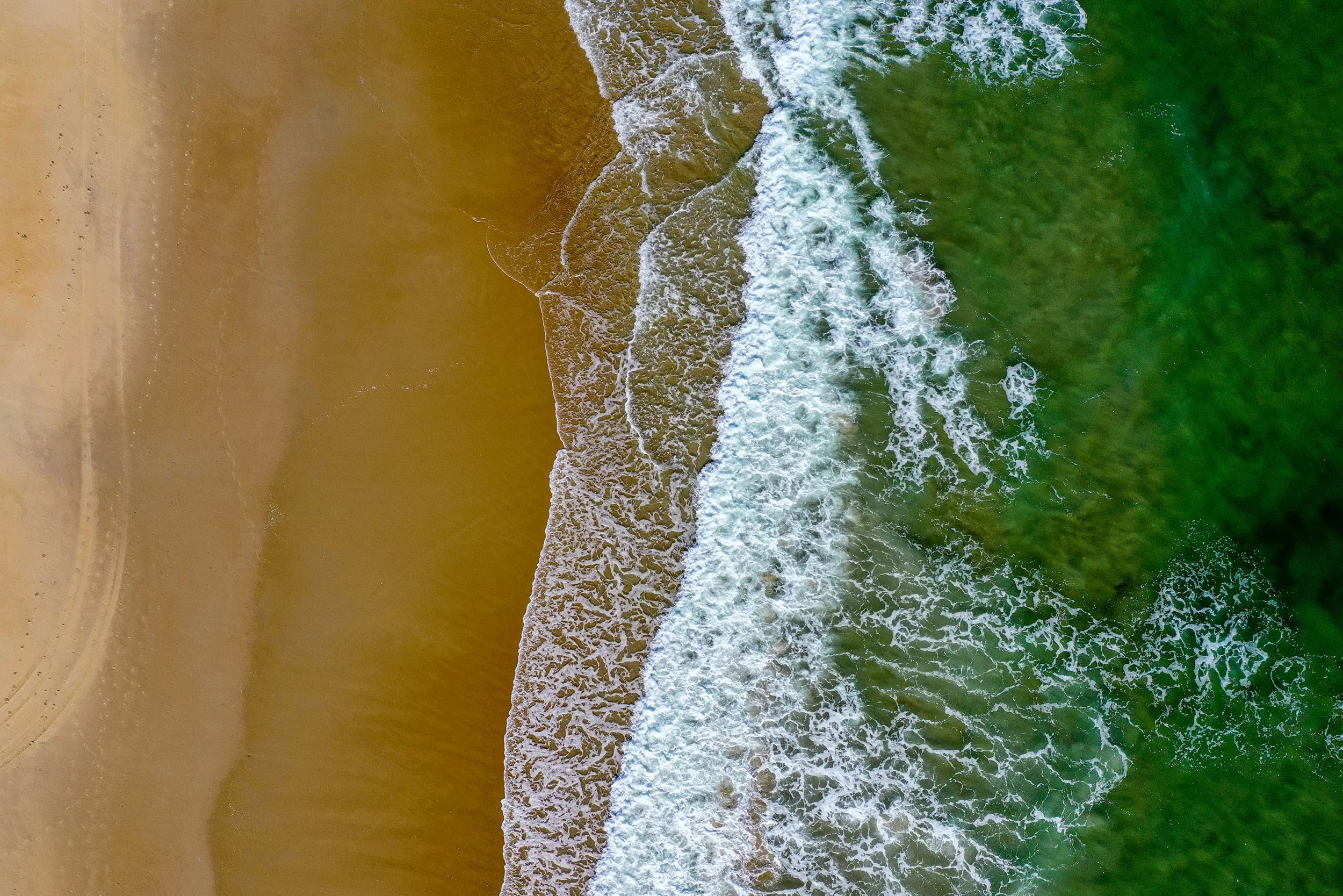 20191026-DJI_0568.jpg