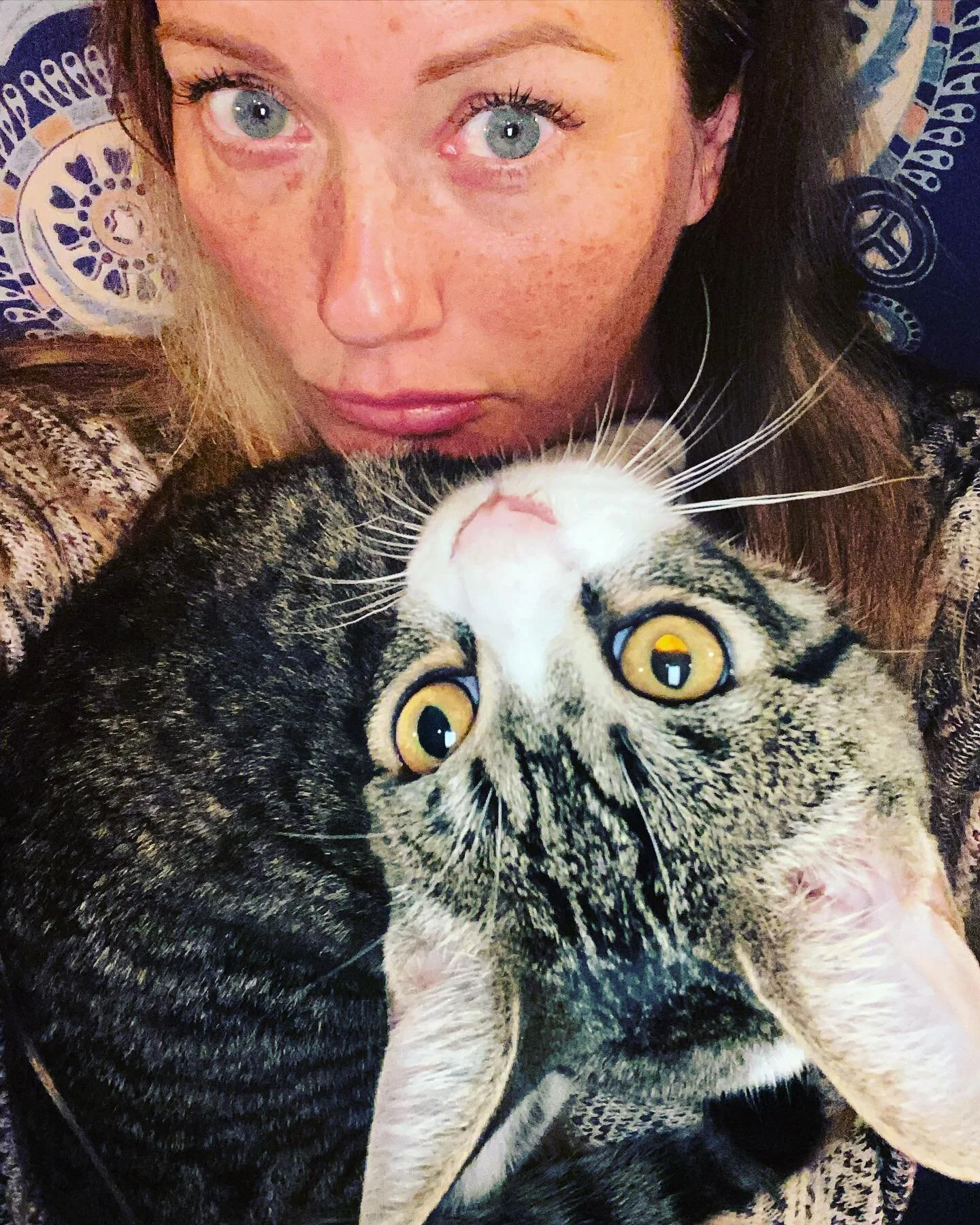 This cat!! ❤️