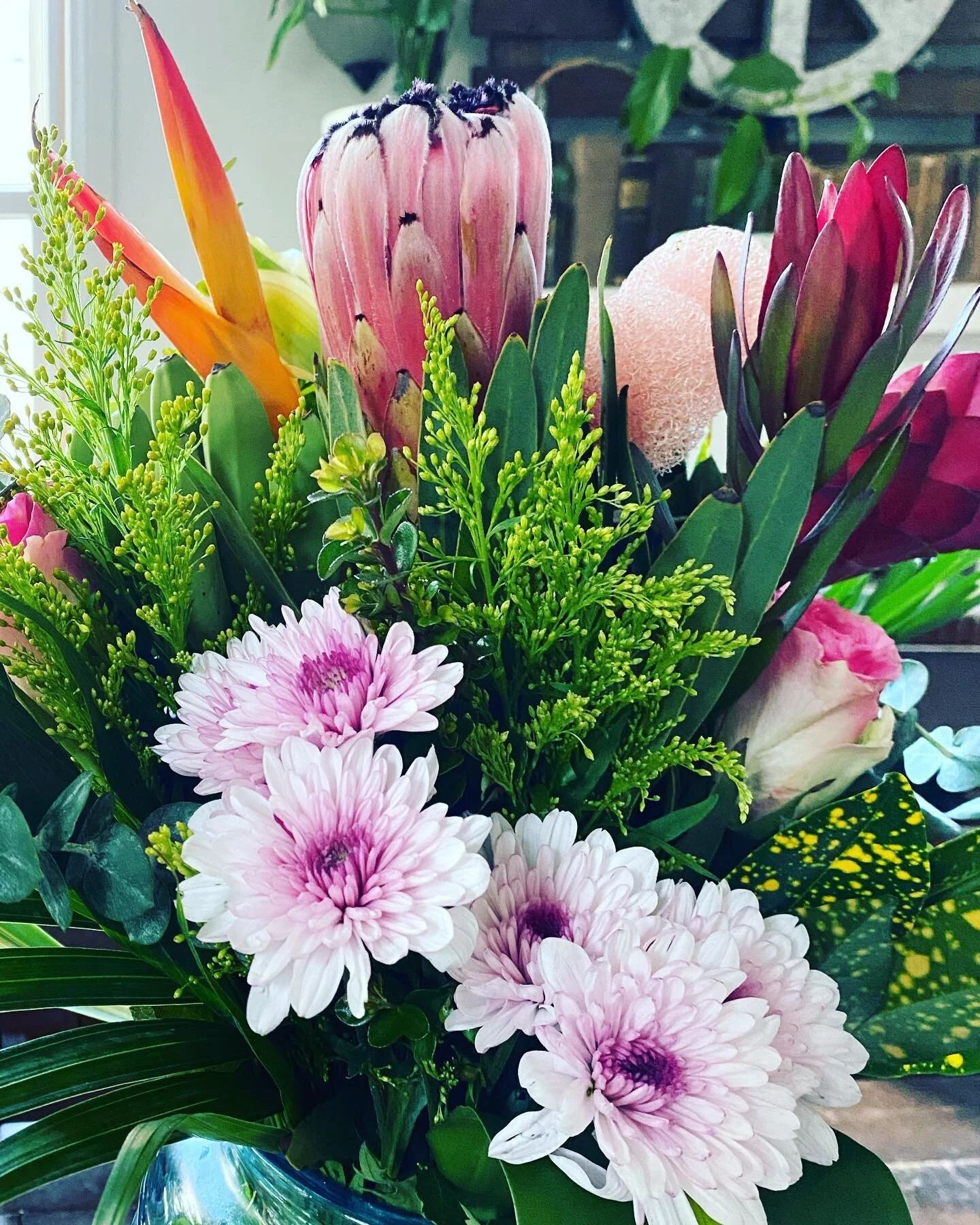 🌿💕💕💕🌿