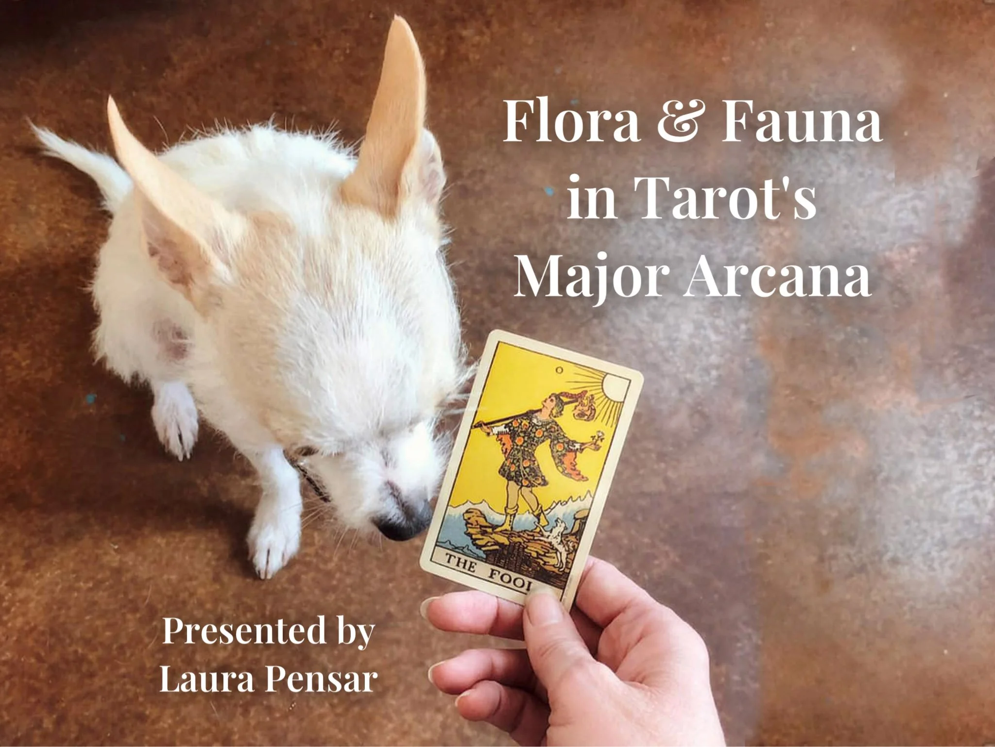 Online Class: Flora & Fauna in Tarot’s Major Arcana
