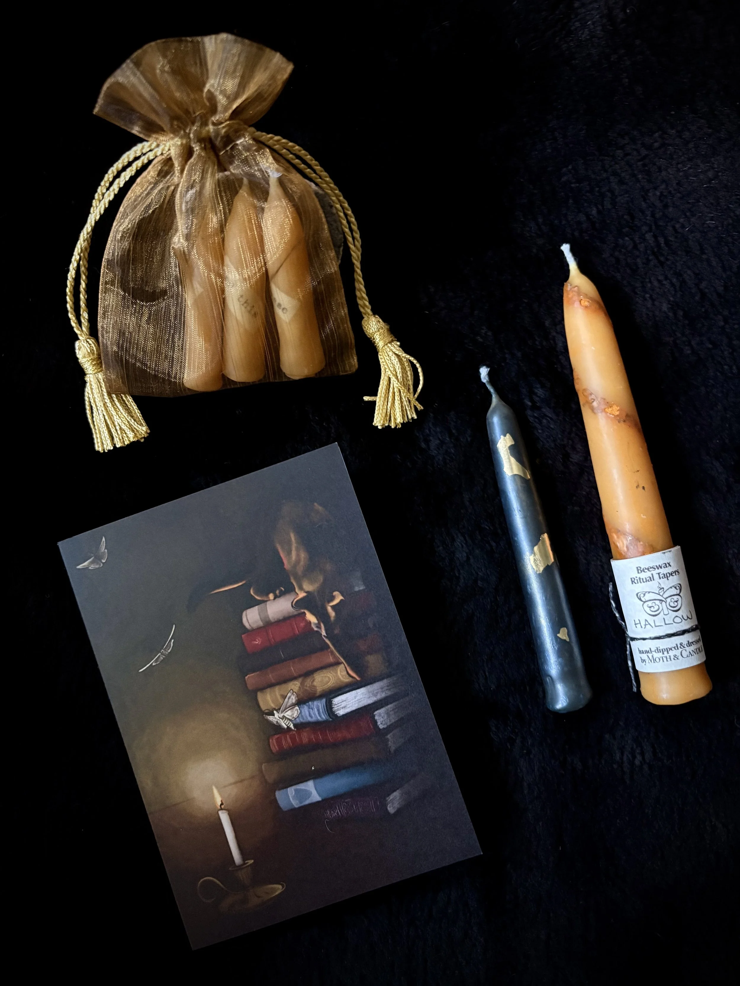 Staying curious this Autumn…