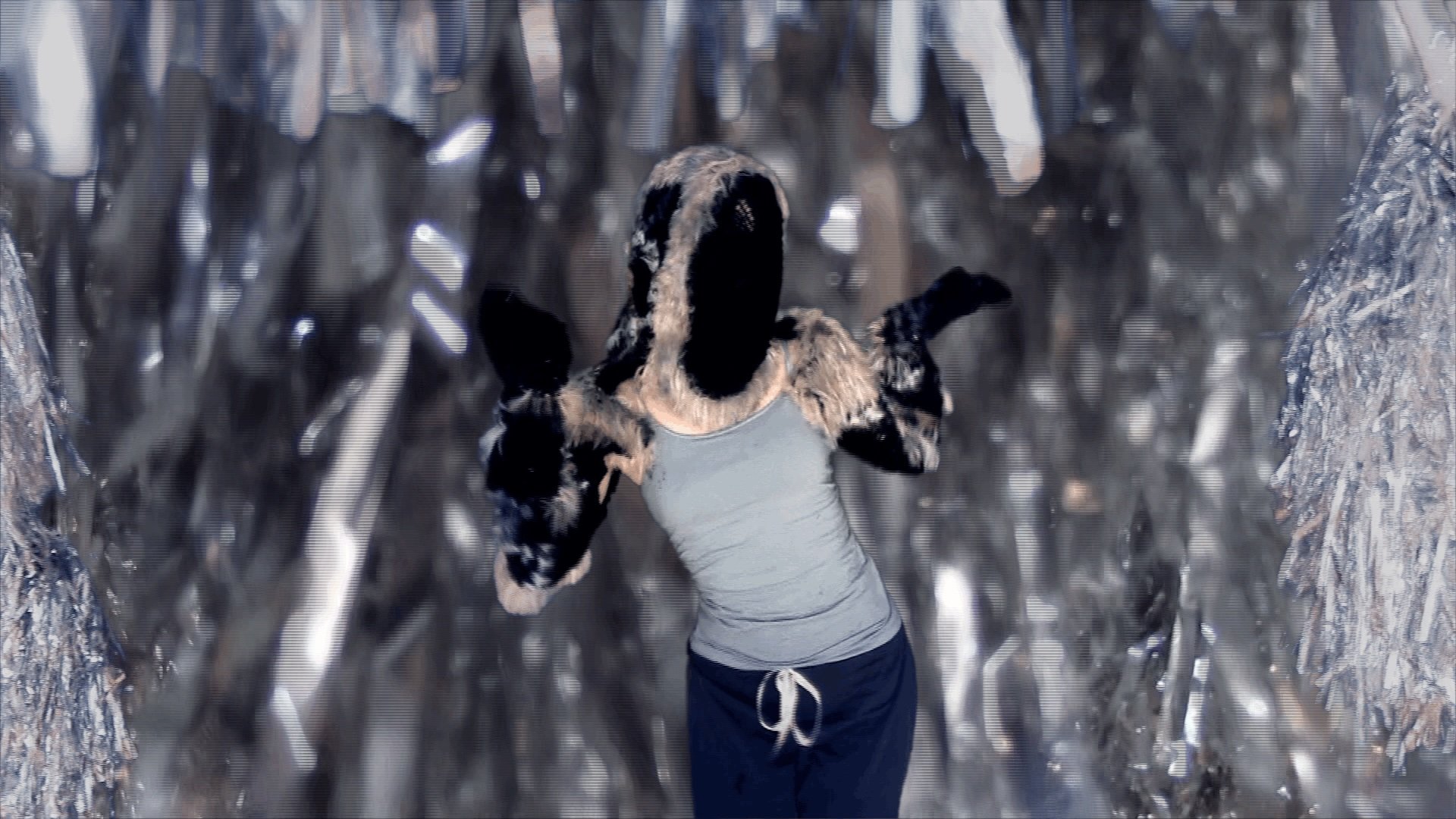 Film Still: Brahms Lullaby (Dancer: Jennifer Tierney)