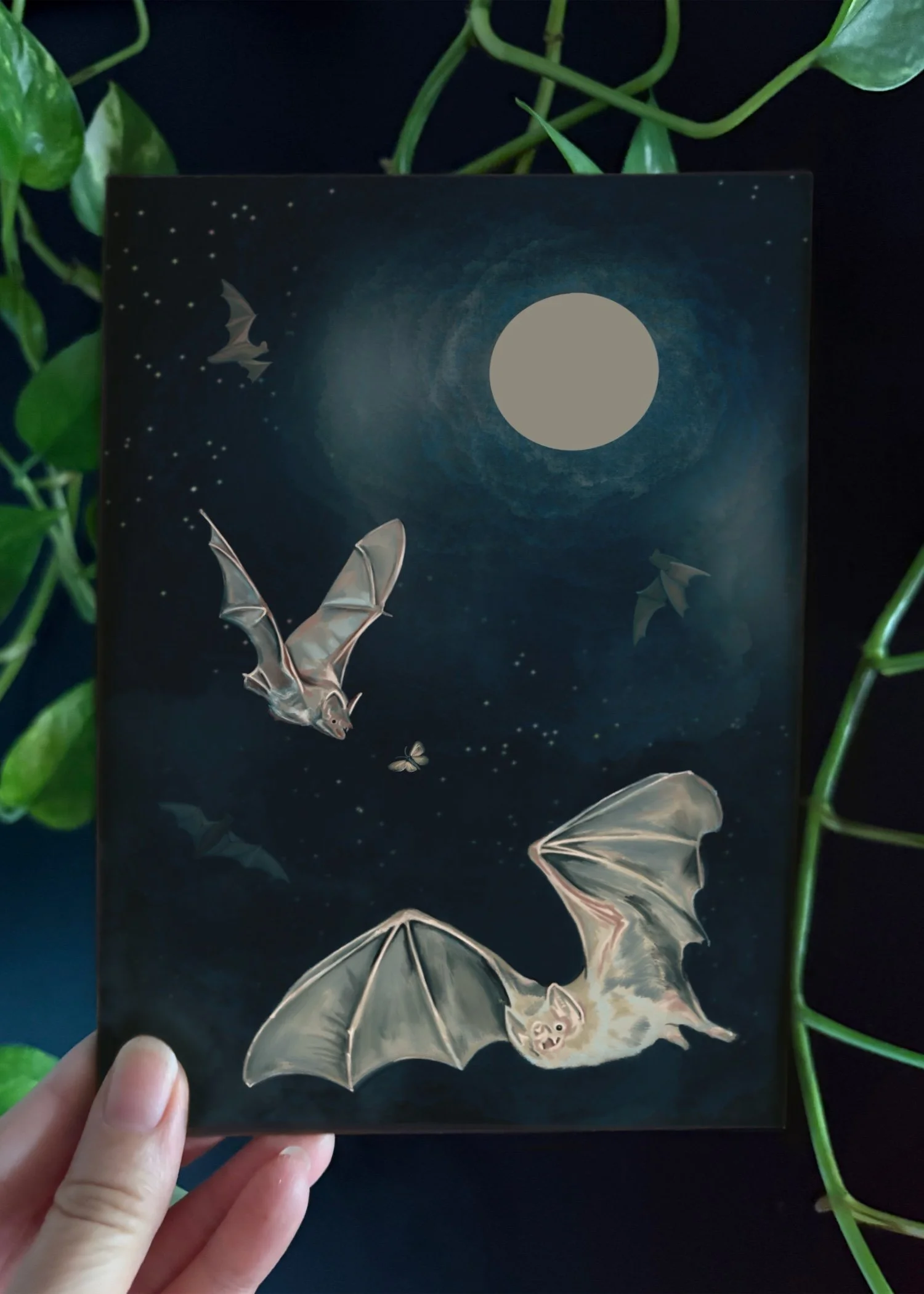 Fortune_BrownBats_Single_01.jpg