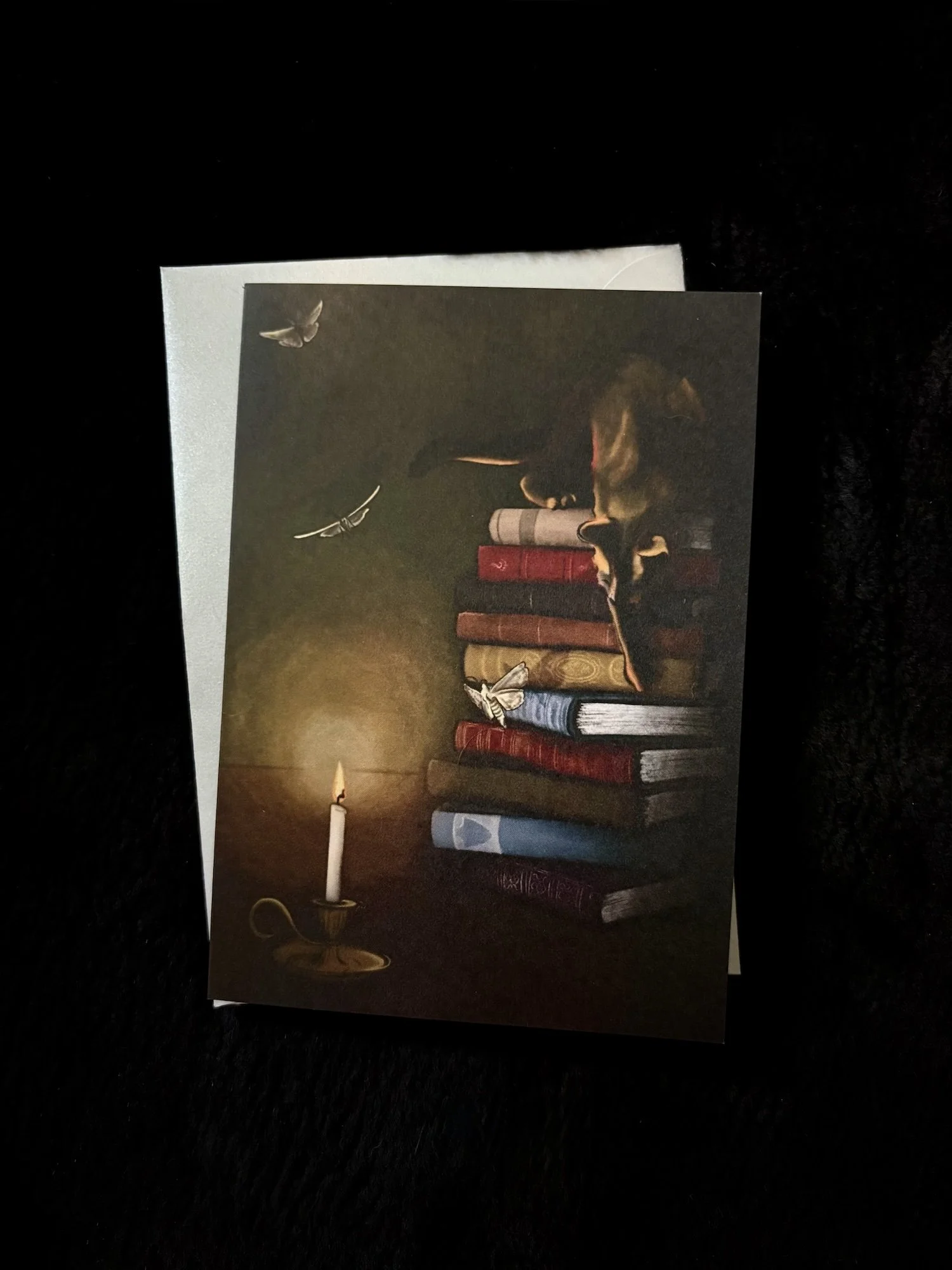 Autumn Greeting Card: Stay Curious Cat