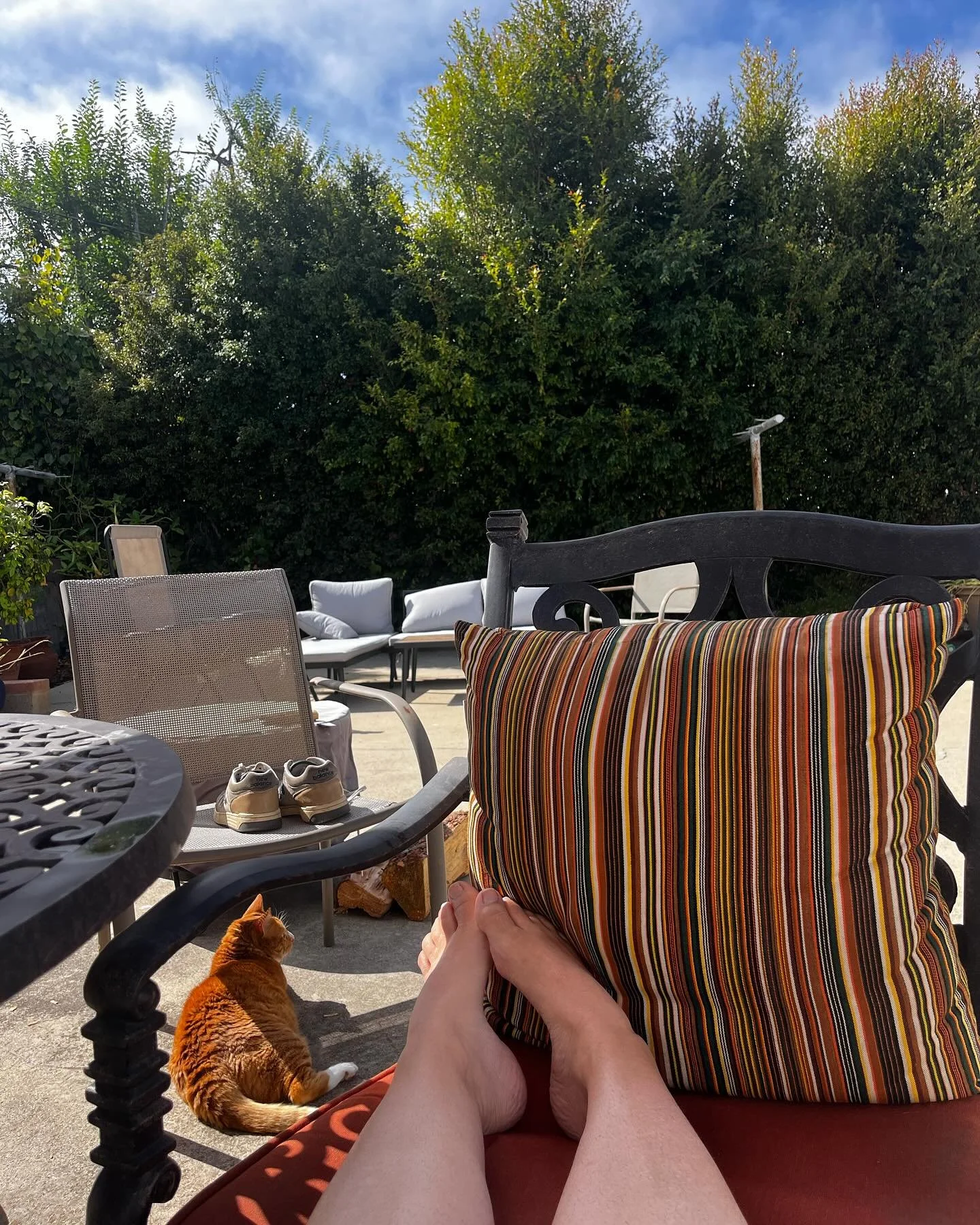 It&rsquo;s not all roses and butterflies- but this is one of my happy places. Today I&rsquo;ve been working from home. Fielding phone calls, emails and reviewing labs from the comfort of my backyard. 

I have office days but those will be coming to a