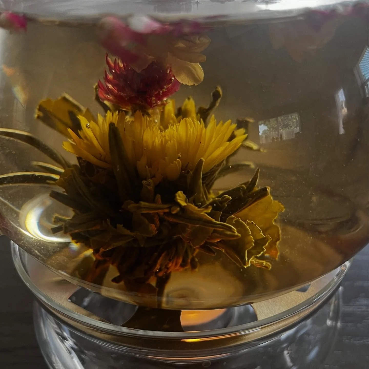 New Google and Yelp Review! I love when Dad&rsquo;s weigh in :) 
_______________________________
&ldquo;Tasha, we are endlessly grateful that we met you. With you, the entire home birth process felt incredibly easy, calm, and clear &mdash; every deta