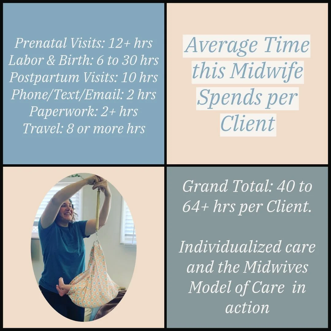 Ever wonder what goes into a midwife&rsquo;s fee and the time breakdown? 

When you hire a midwife you are paying for: 

&bull; the style of care
&bull; her expertise in low risk pregnancy, labor/birth, postpartum &amp; newborns
&bull; holding a plac