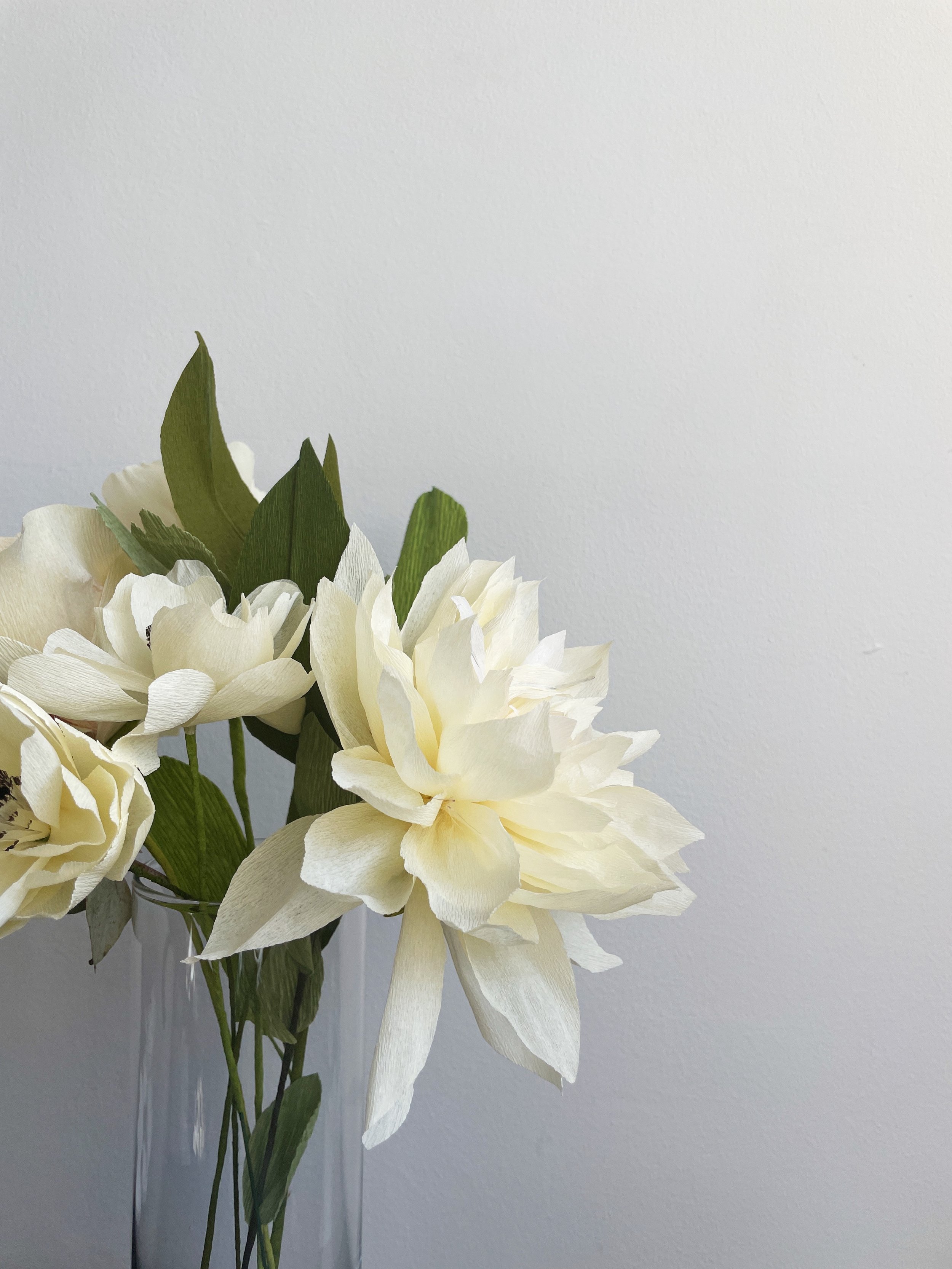 2F1DE5D8-3944-4F98-A961-FE15AD45A61C.jpeg