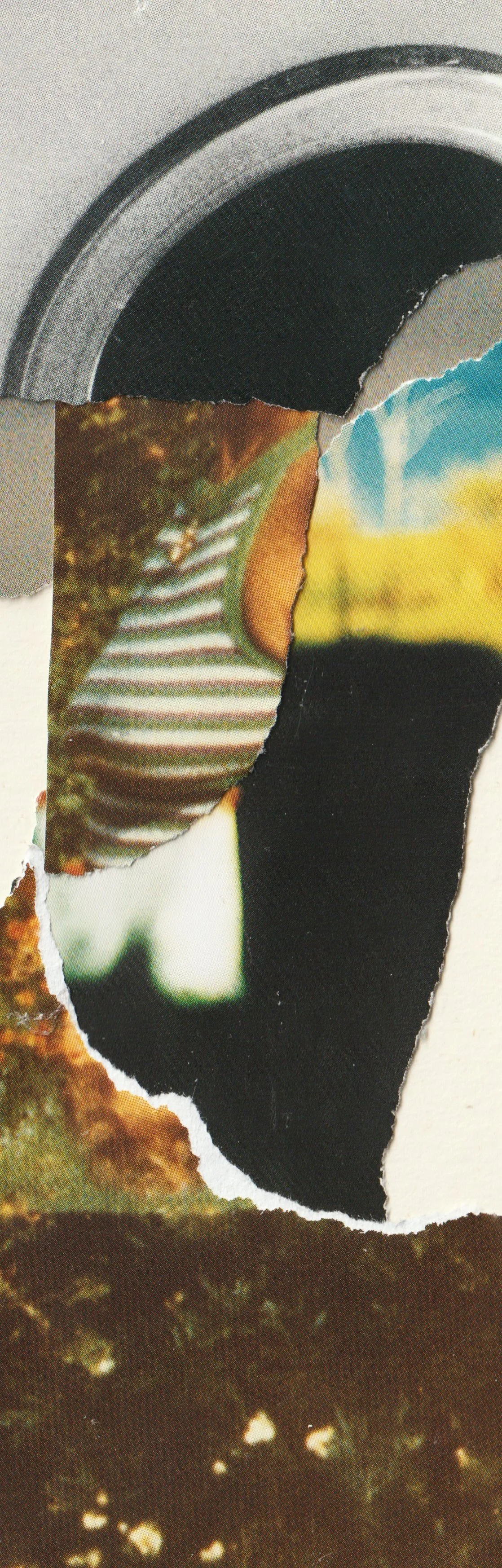 6.13 Collage02.jpg
