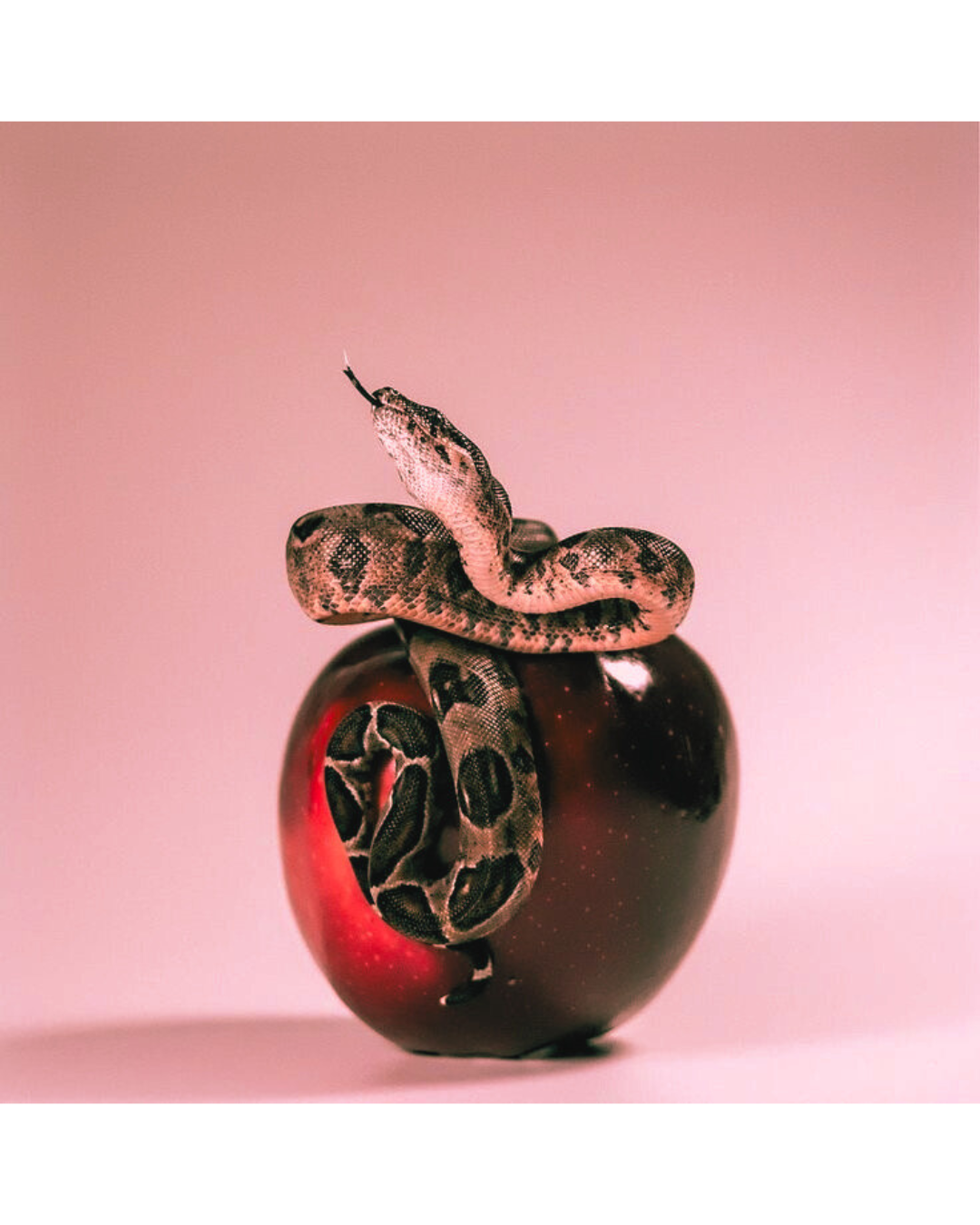Before the Fall: The Serpent as a Sacred Symbol of the Goddess