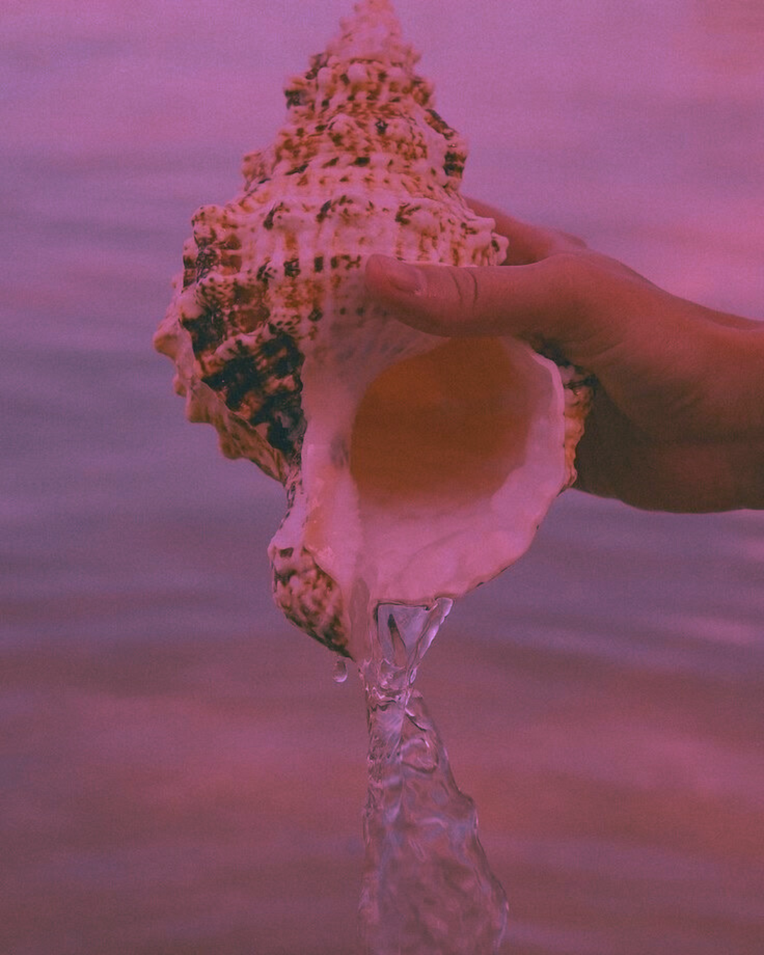 Untitled design - 6.png