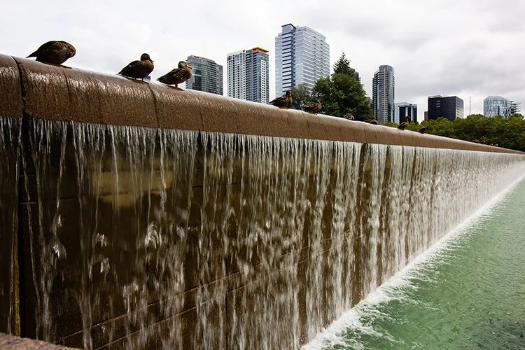 Seattle Neighbourhood Guide 15.jpg