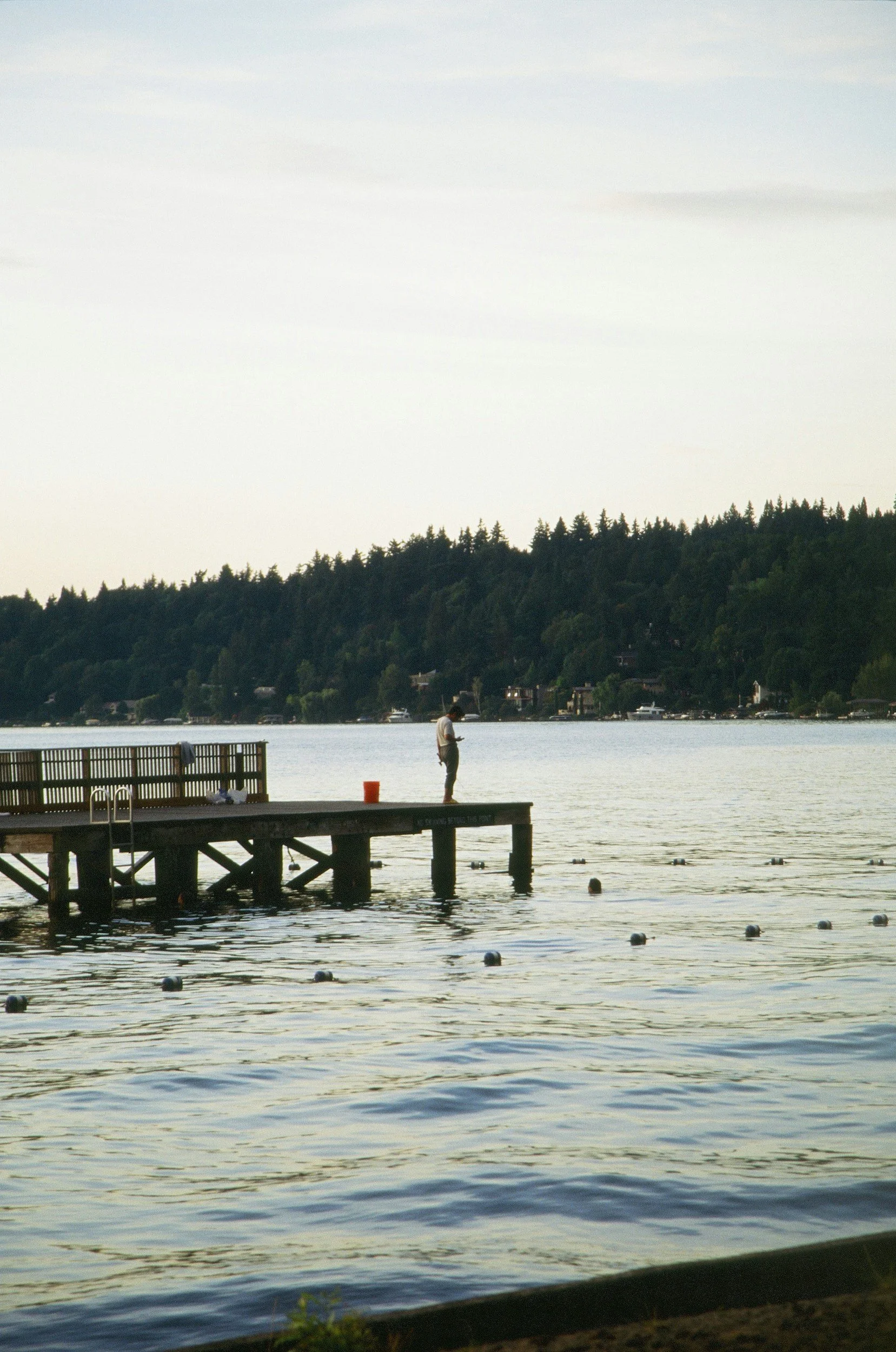 A Weekend in Mercer Island: The Local's Guide for Extended-Stay Guests