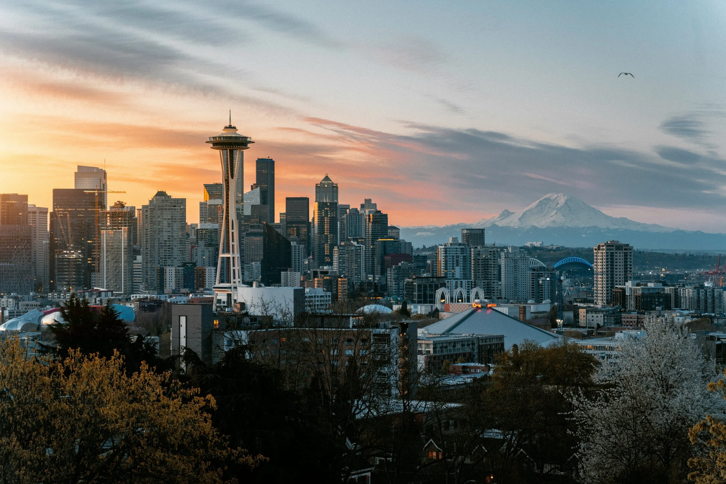 seattle landscape