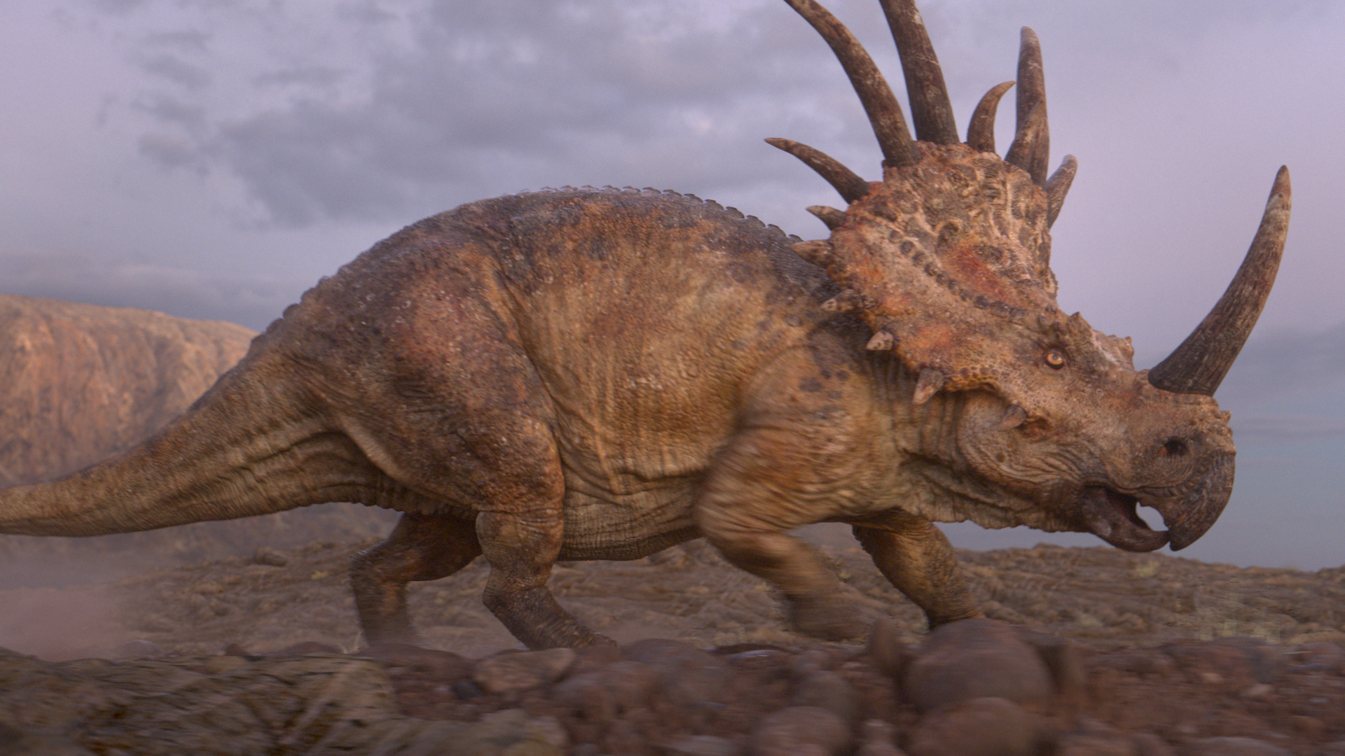 Styracosaurus