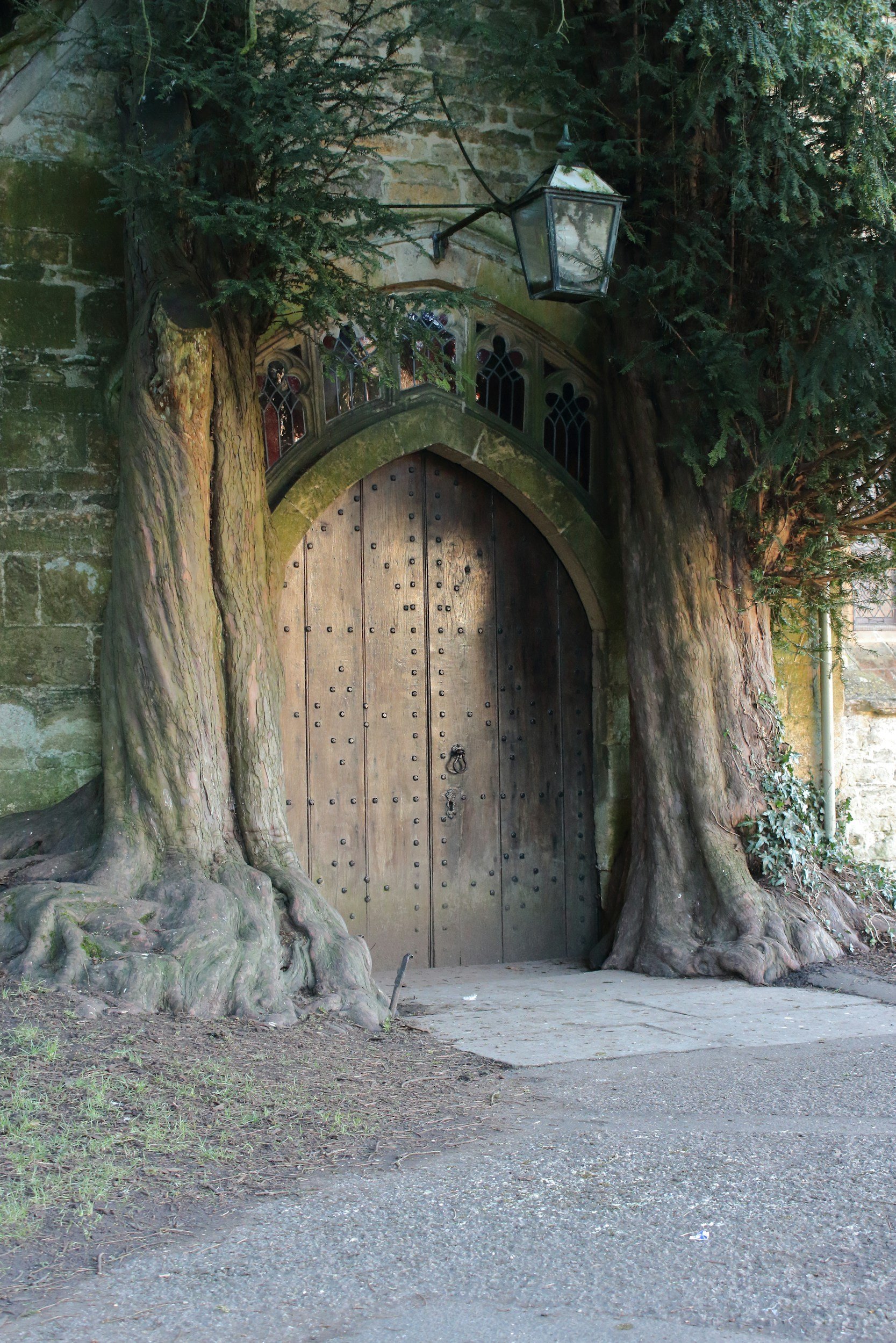 Ancient wooden door with trees surrounding it, set in a stone wall.
