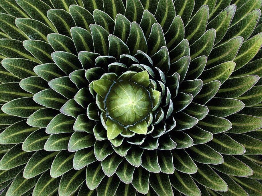 Practicing Energy Healing for the Land