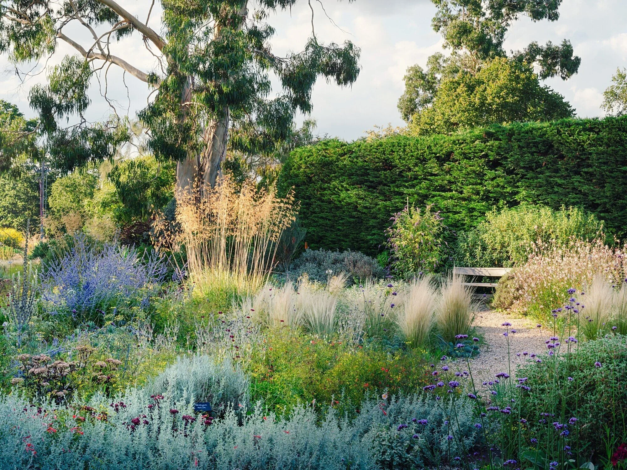 Beth Chatto's Garden