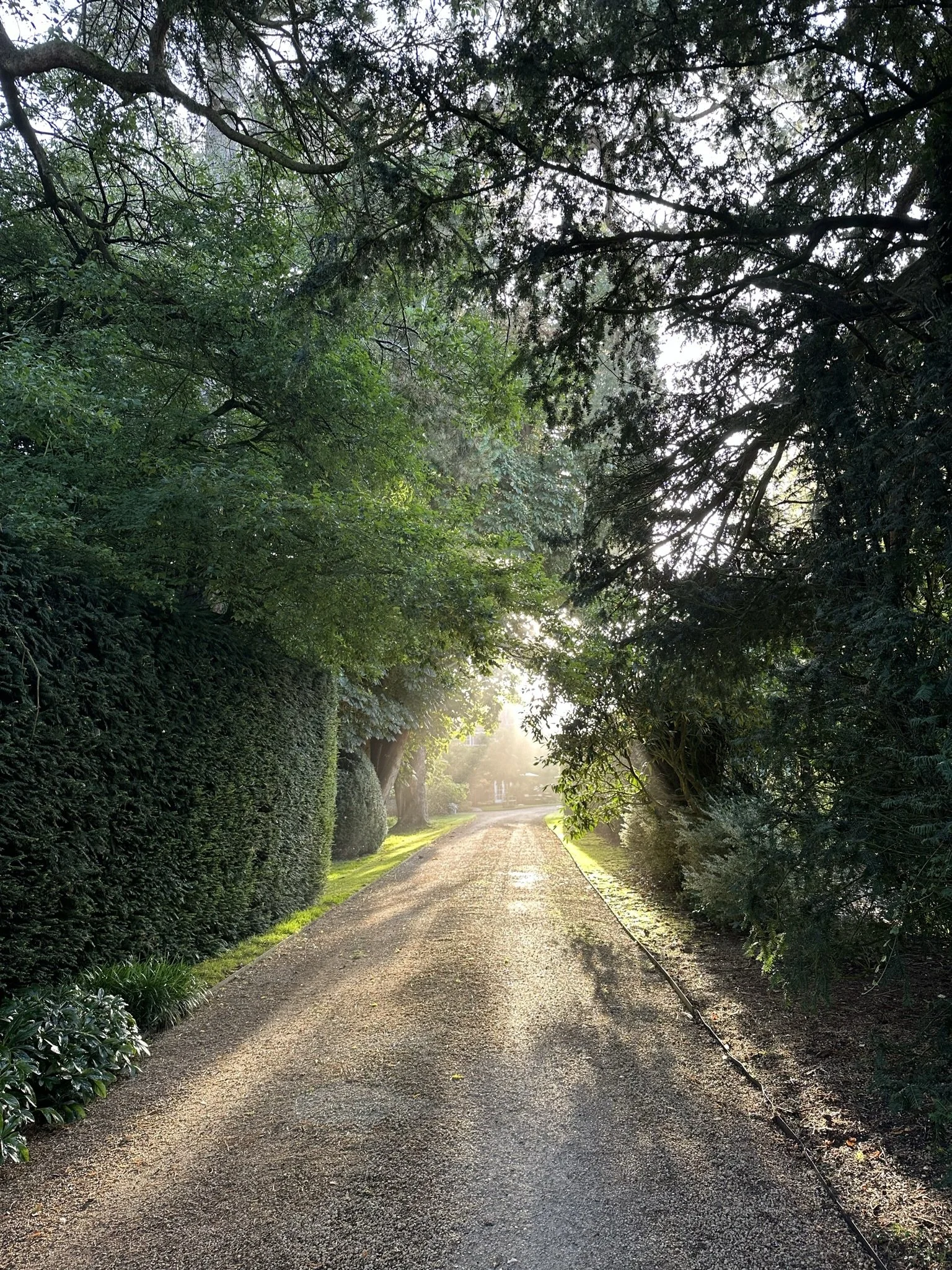 Old Rectory drive.jpeg